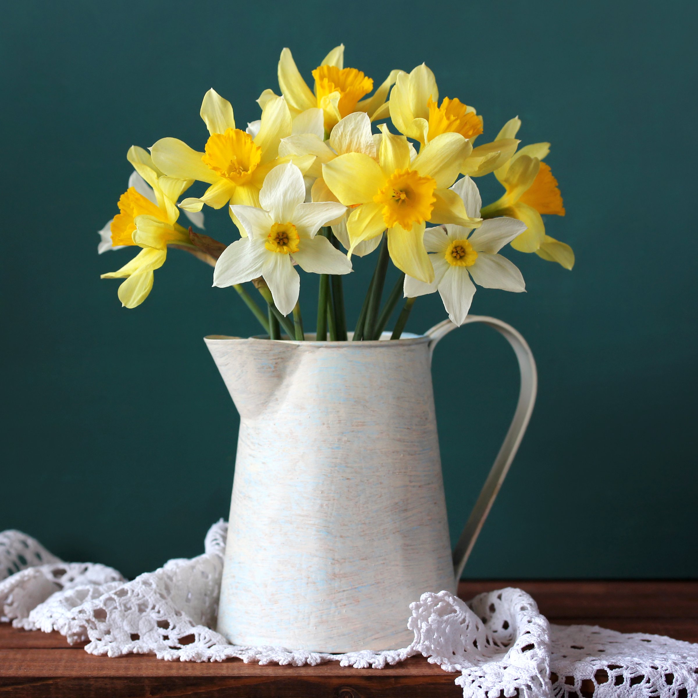 National Plant Network LW3143C Plant-Bulbs - View #7