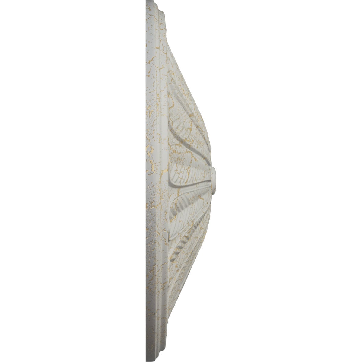 Ekena Millwork CM25BRPCC Ceiling-Medallions - View #3