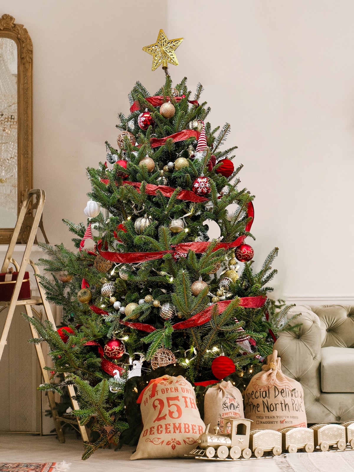  FIRFRA06B Fresh-Christmas-Trees - View #2