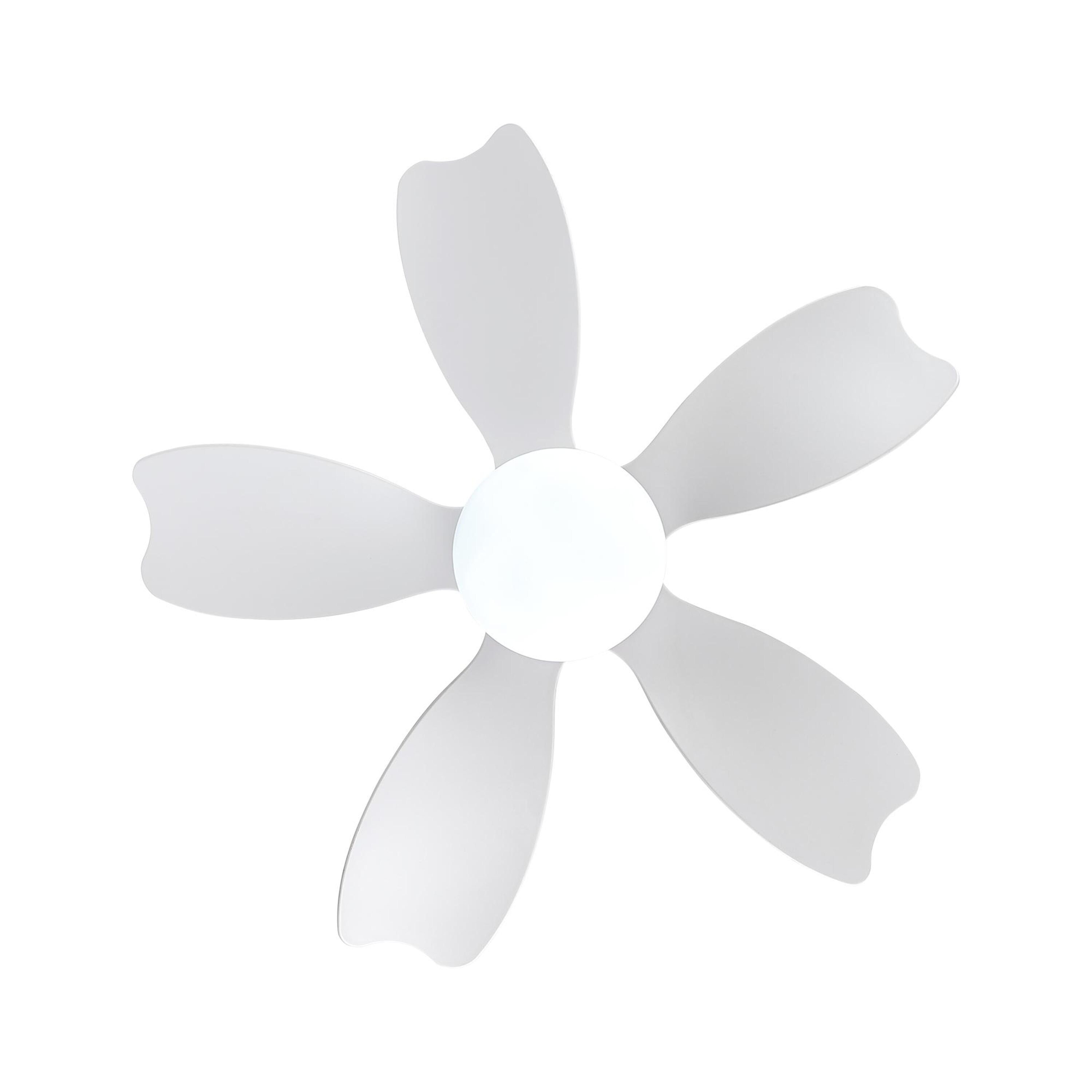 Bayfeve BFYH-3341-CF Ceiling-Fans - View #6