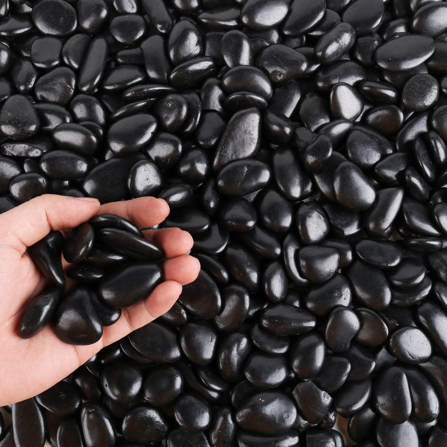 CJGQ Black Pebbles for Plants 3 lb Bulk Bag 0 5 to 1 Inch Aquarium Gravel Decorative Polished Stone Natural River Rocks for Fish Tank