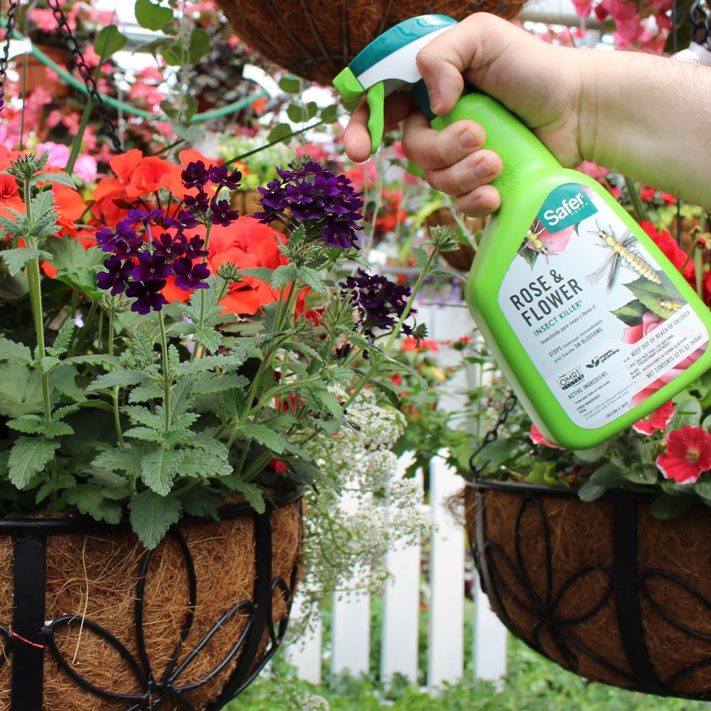 Safer Brand 32-fl oz Organic Natural Insect Killer Trigger Spray