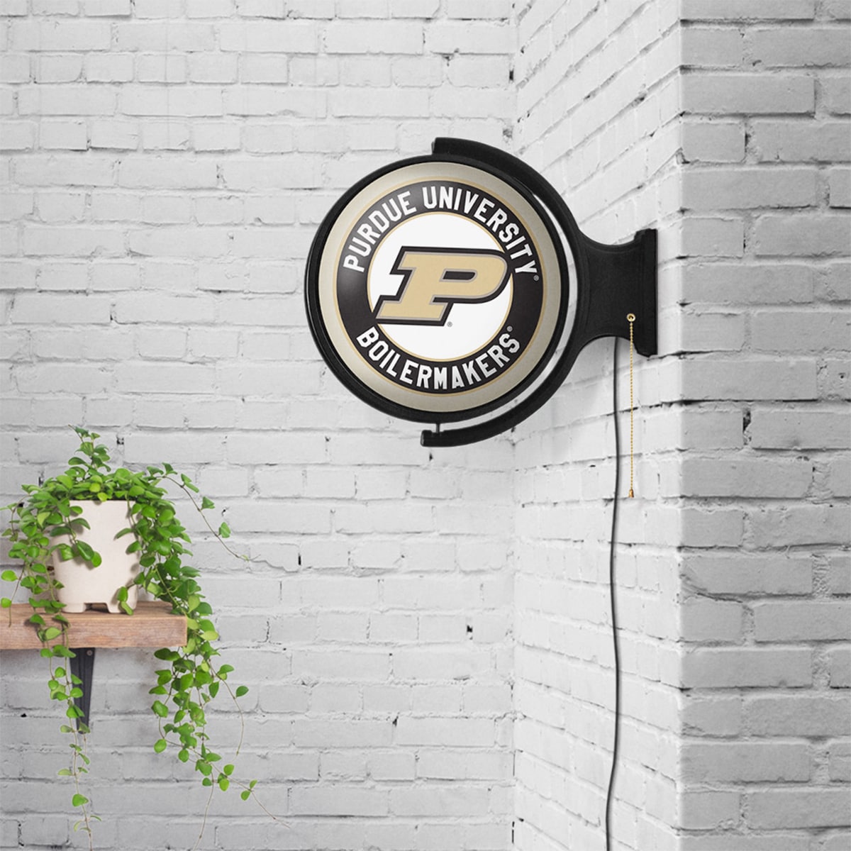 The Fan-Brand NCPURD-115-01 Neon-Signs - View #5