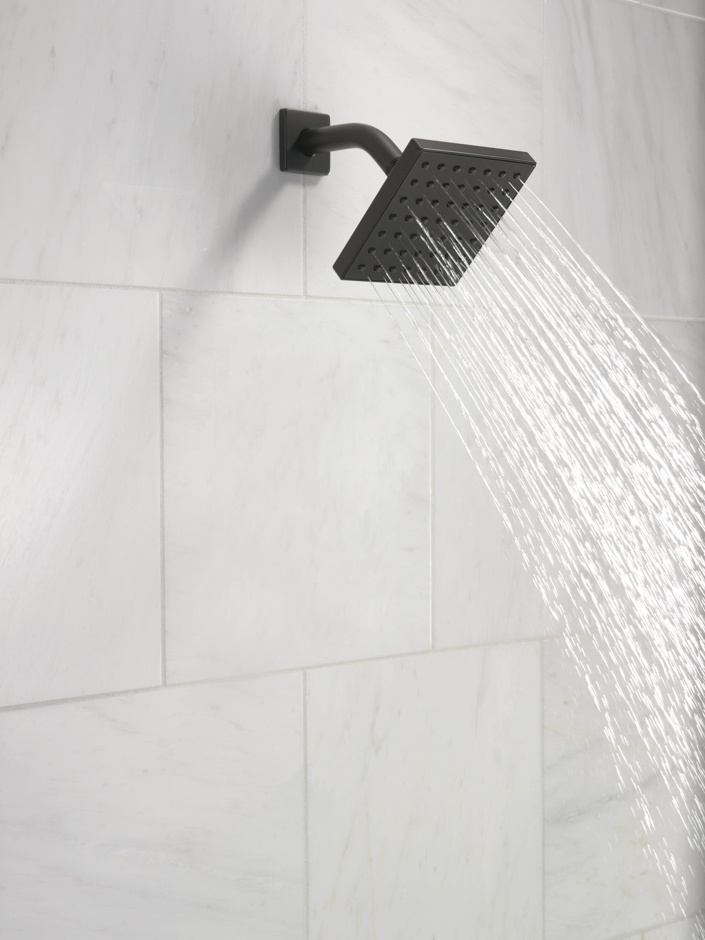 Delta RP101846BL Fixed-Showerhead - View #2