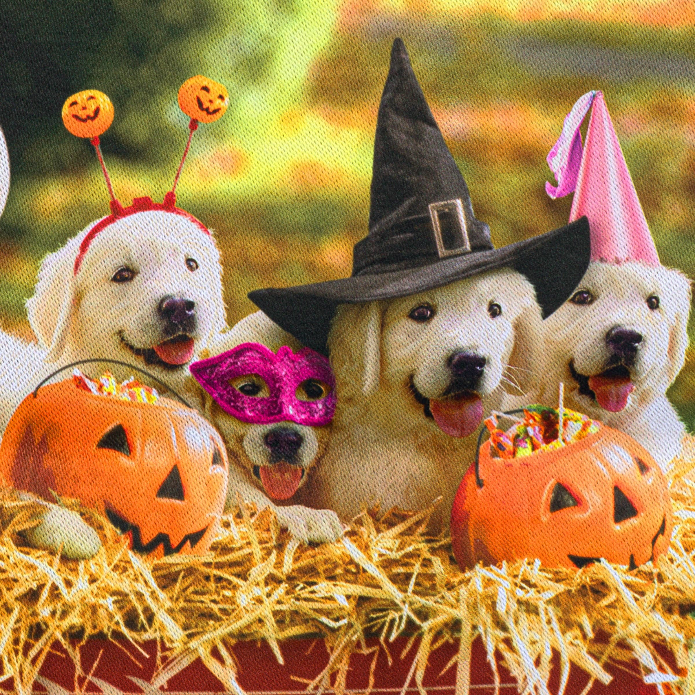 Style Selections ZLW14S14717 Decorative-Banner-Flags - View #6