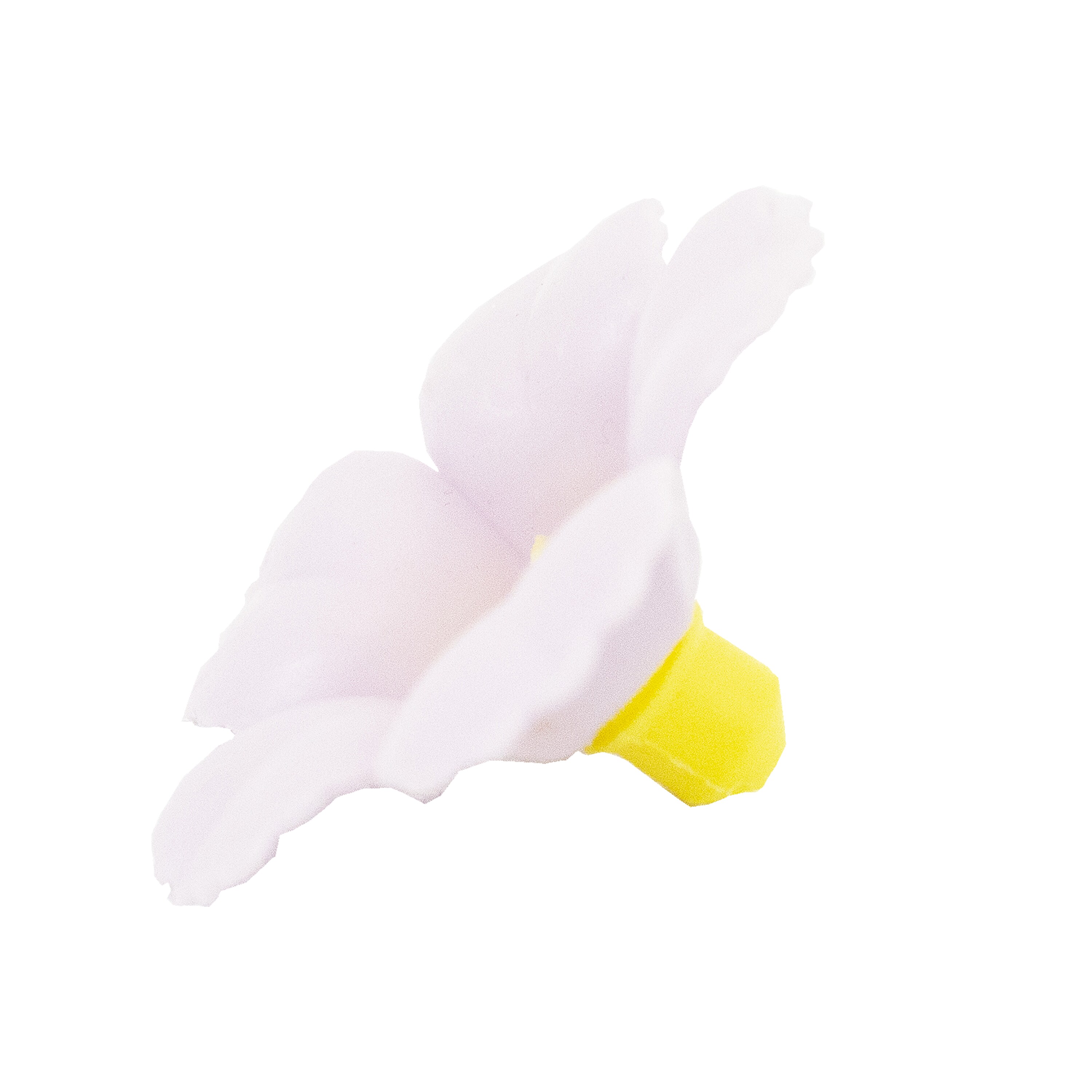 Perky-Pet 132TFP Bird-Feeders - View #7