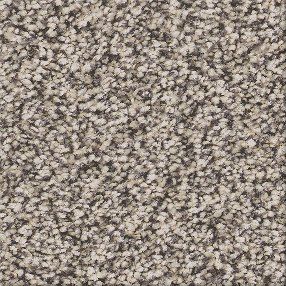 STAINMASTER PetProtect 7L93000120 with LeakDefense Pacific Charm I Daytona Sand Brown 58.5-oz sq yard Polyester Textured Indoor Carpet