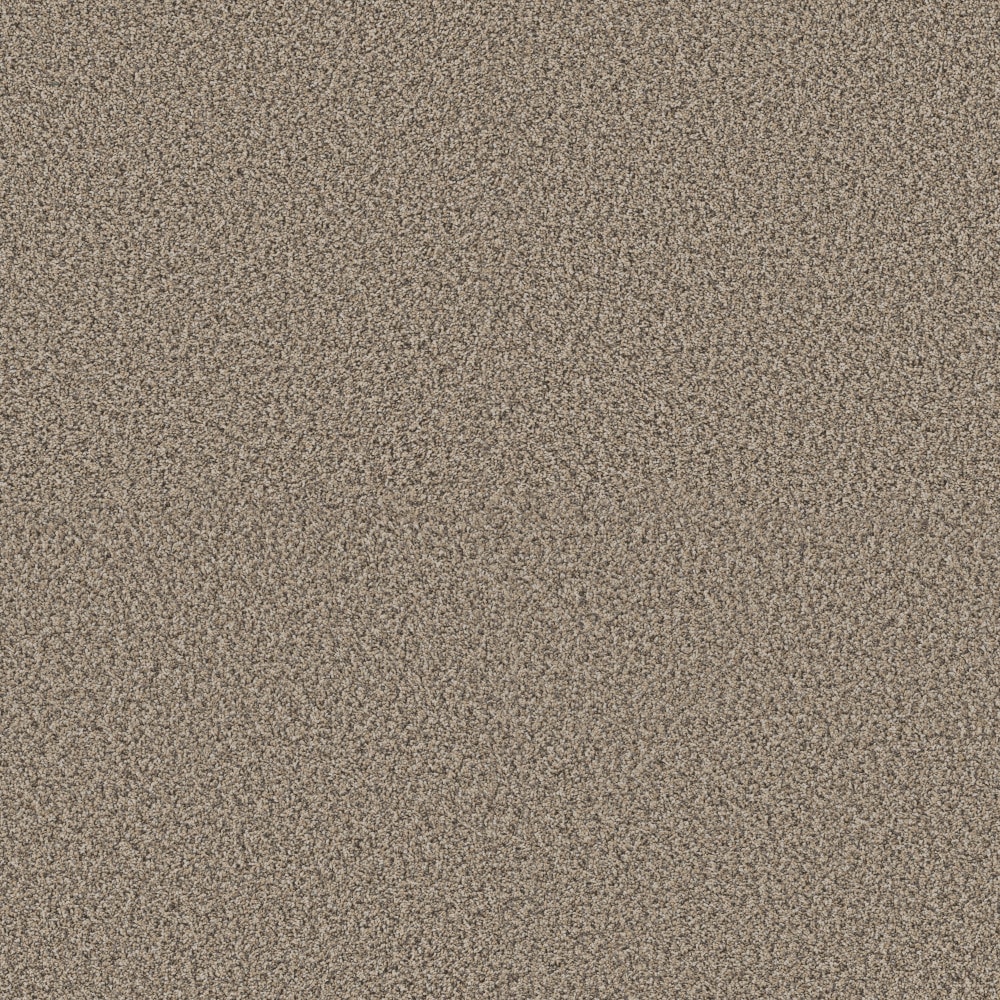 STAINMASTER PetProtect 7L965-700-SAMP (Sample) 8-in x 8-in with LeakDefense Pet Parade I Khaki Brown 43.9-oz sq yard High-performance polyester Textured Indoor Carpet