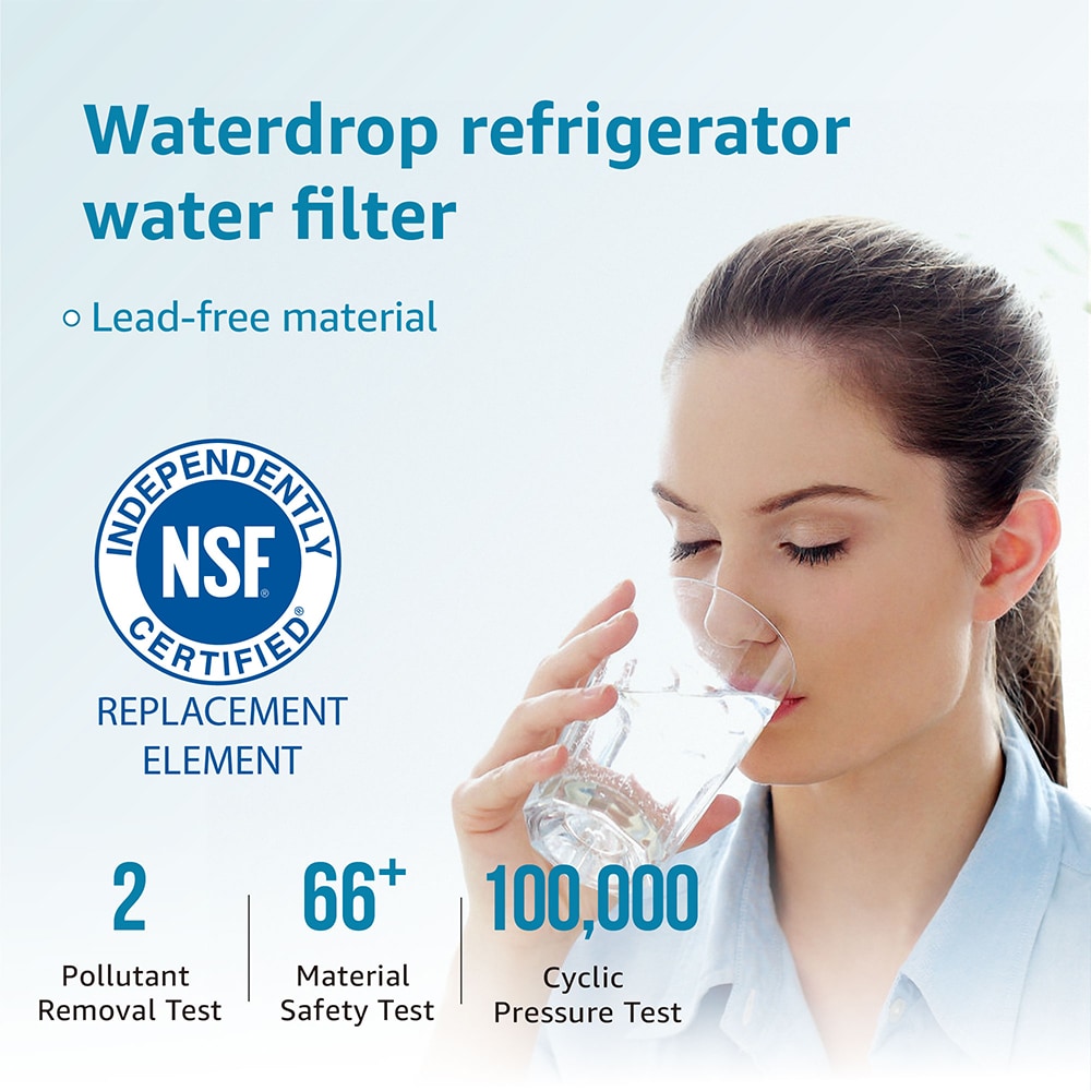 Waterdrop NSF 53&42 Certified DA29-00020B Refrigerator Water Filter, C –