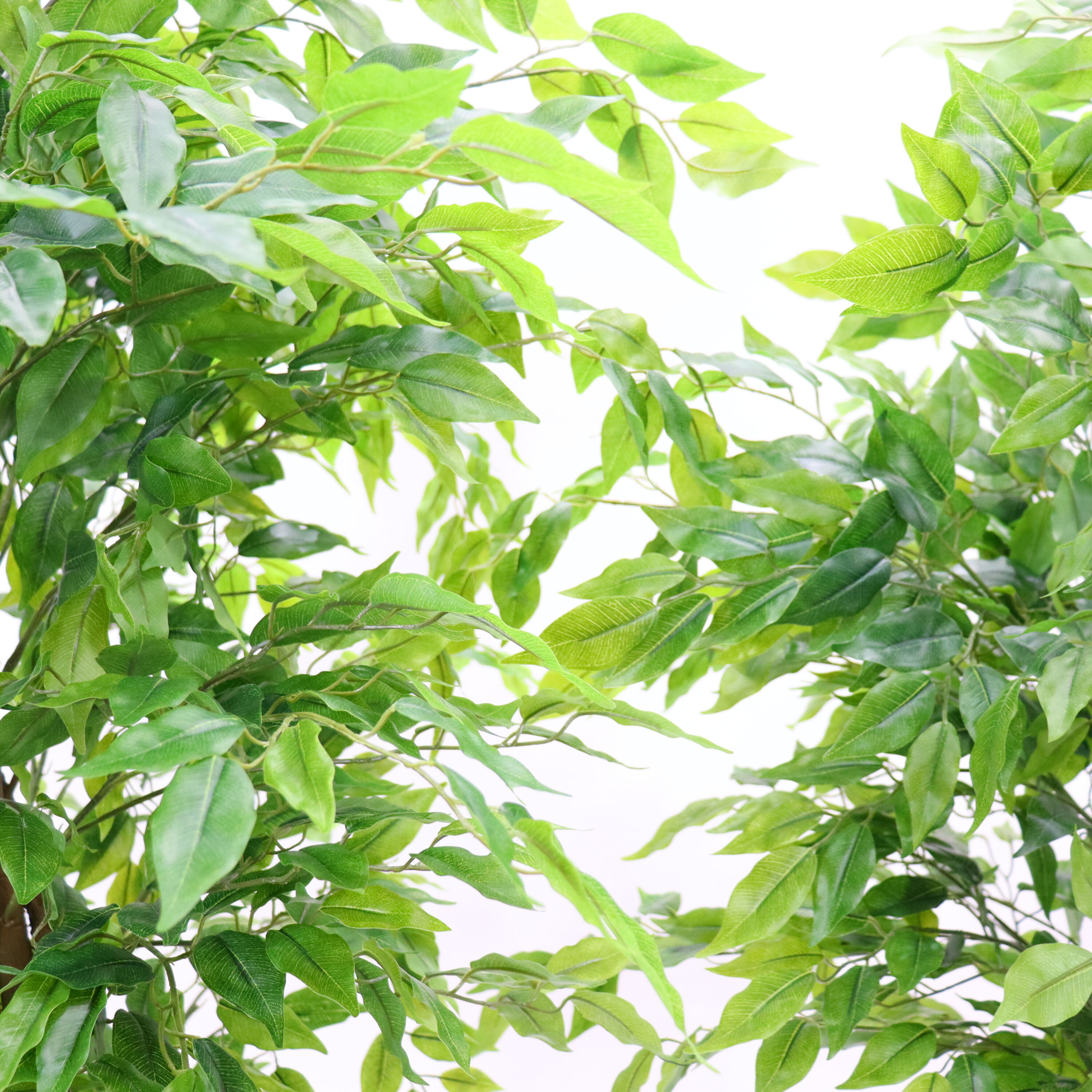 WhizMax GGL-PHK-33EXRGH7 Artificial-Plants-Trees - View #5