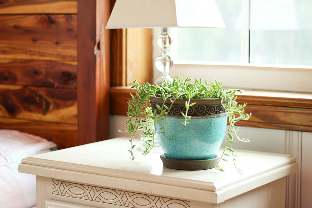 Southern Patio CRM-030720P2 Planter-Window-Box - View #3