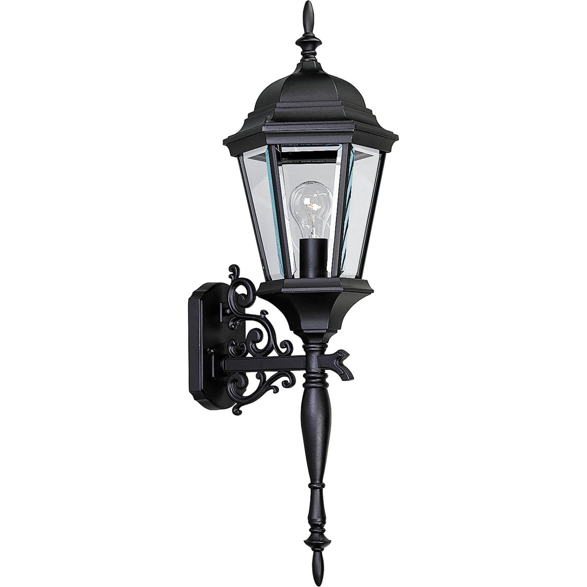 Progress Lighting Onion Lantern Collection 4-Light Textured Black