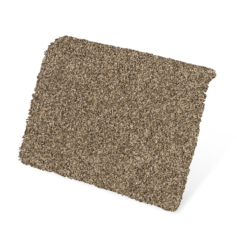 STAINMASTER SS040-L009-S0808 Carpet-Samples - View #3