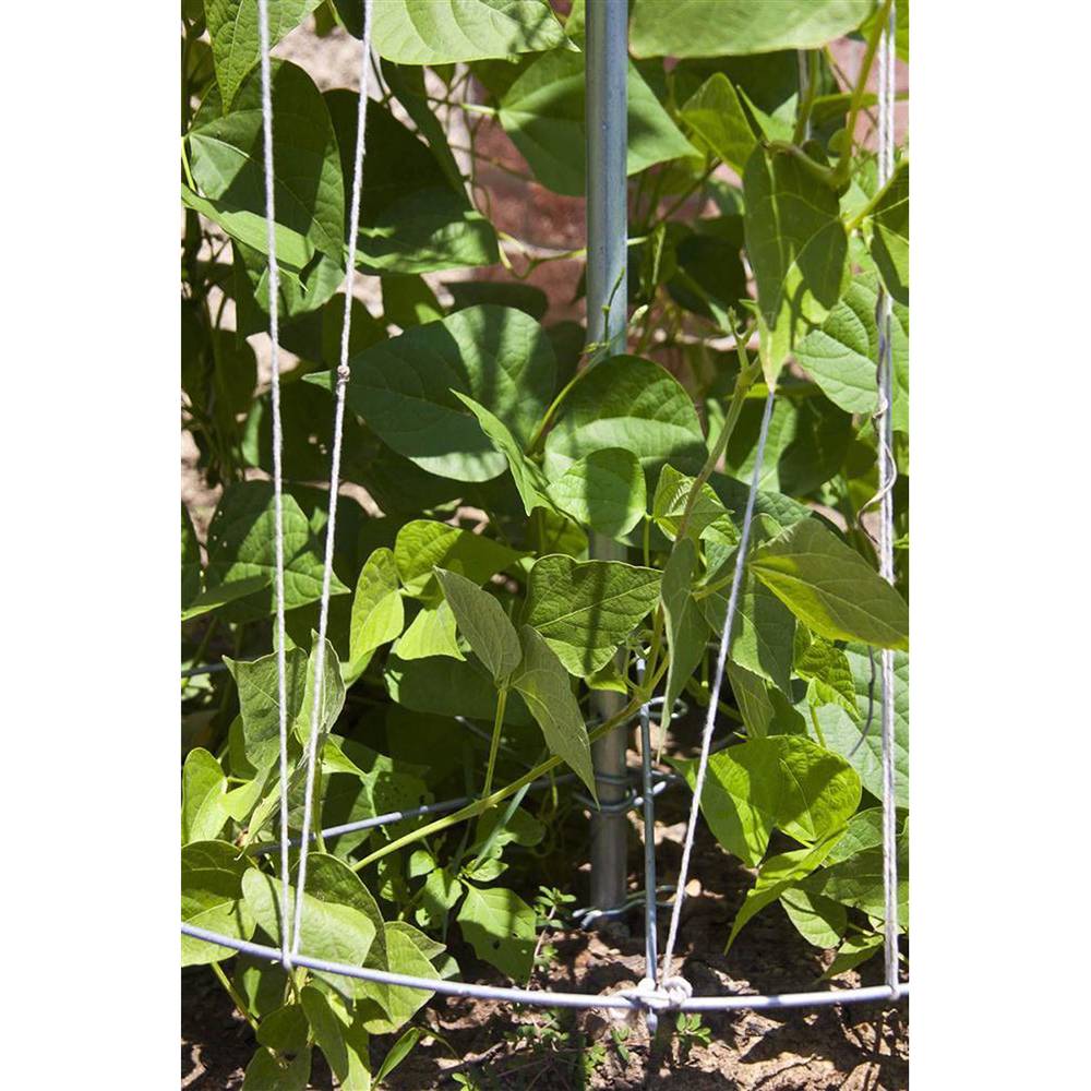 Lehman's 1247125 Tomato-Cages - View #3
