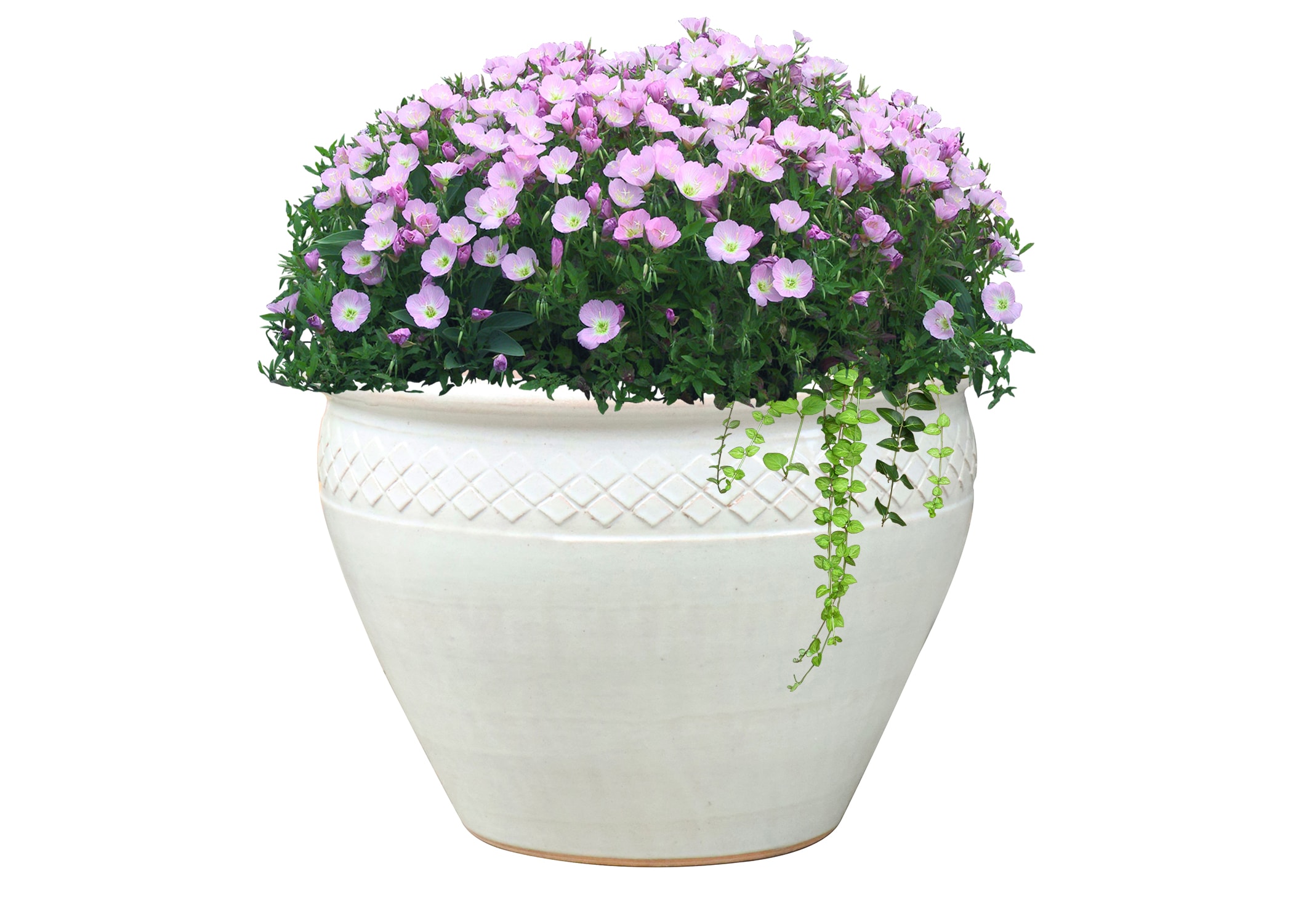 allen + roth GO2025-1 Planter-Window-Box - View #3
