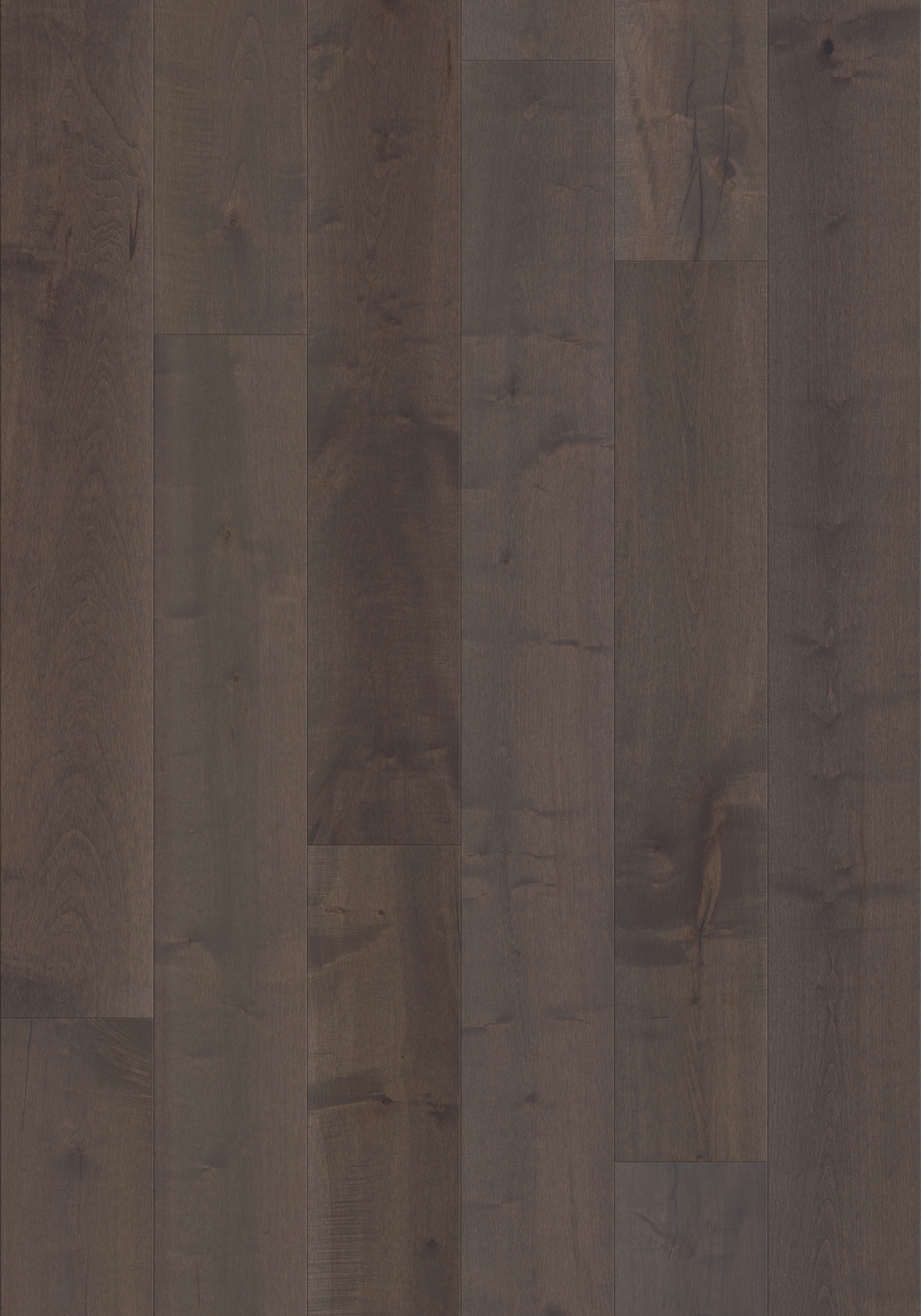 Shaw LX77609019 Wood-Floors - View #7