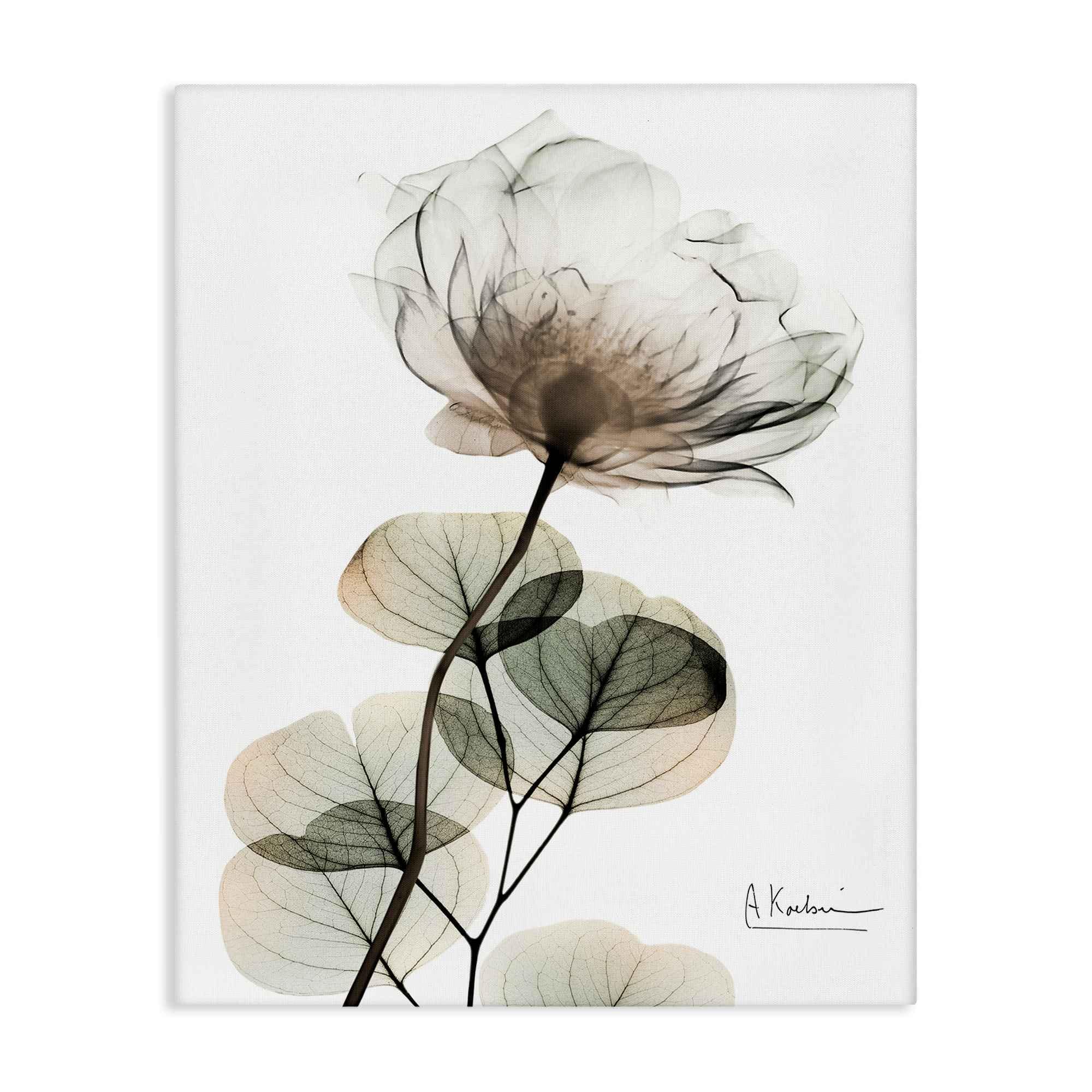 Stupell Industries BS-029-CN-24X30 Simple Elegant White Flower Canvas Wall Art By Albert Koetsier 24 x 30