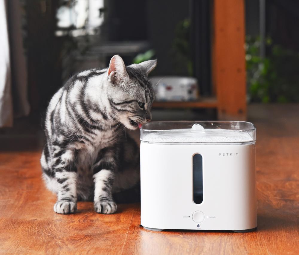 PETKIT TKWT1WH Fountains-Waterers - View #9