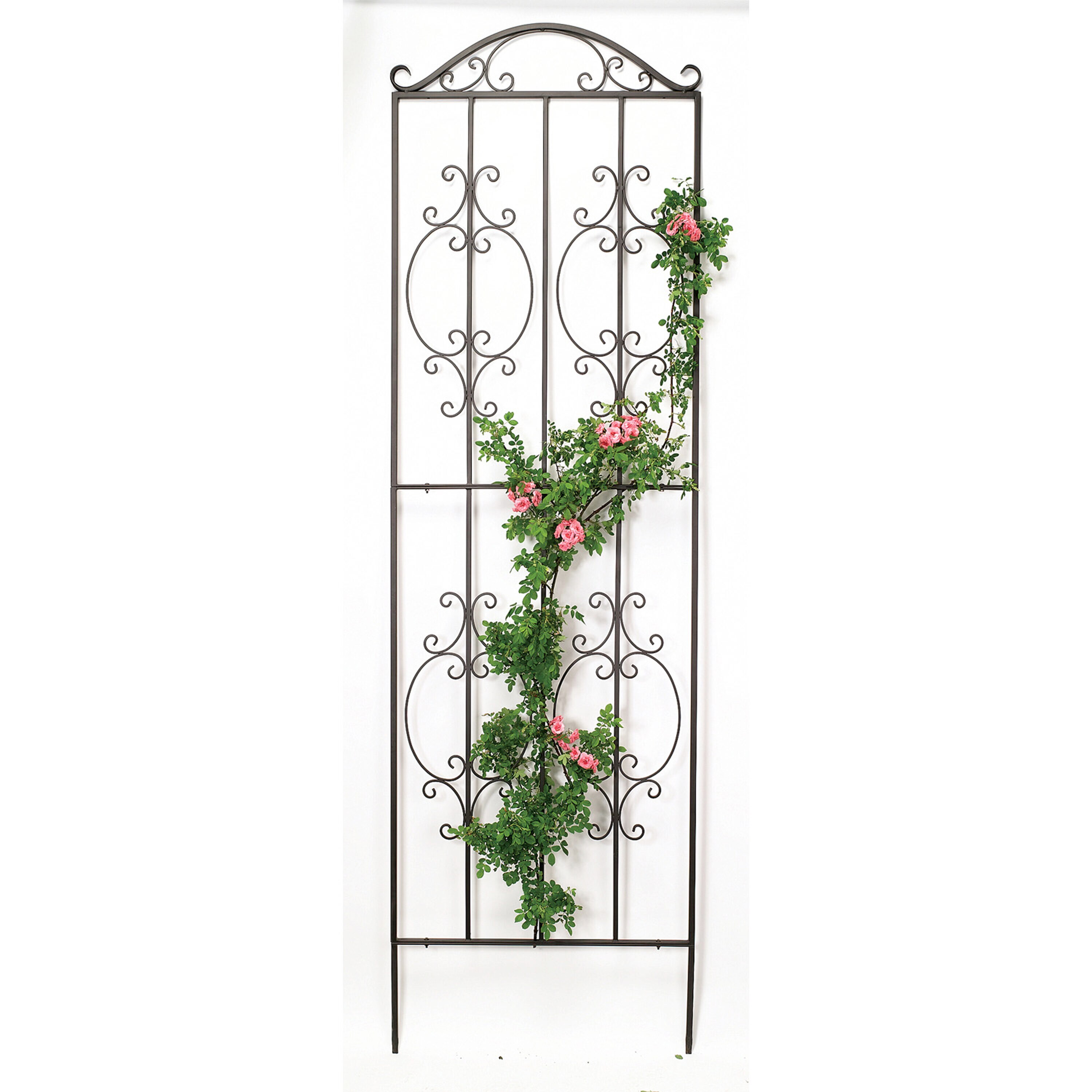 Evergreen 50690 32-in W x 108-in H Brown Steel Traditional Garden Trellis For Climbing Plants For Cucumbers For Roses For Tomatoes