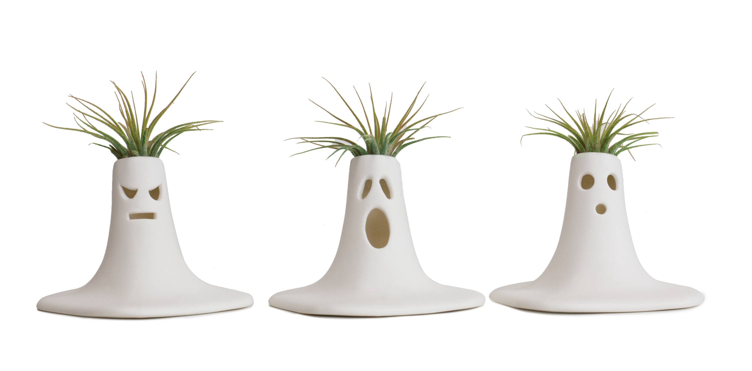 LiveTrends ASB07768 The Scream - Air Plant House plant in 3 -Pack Pot 1 -Pack
