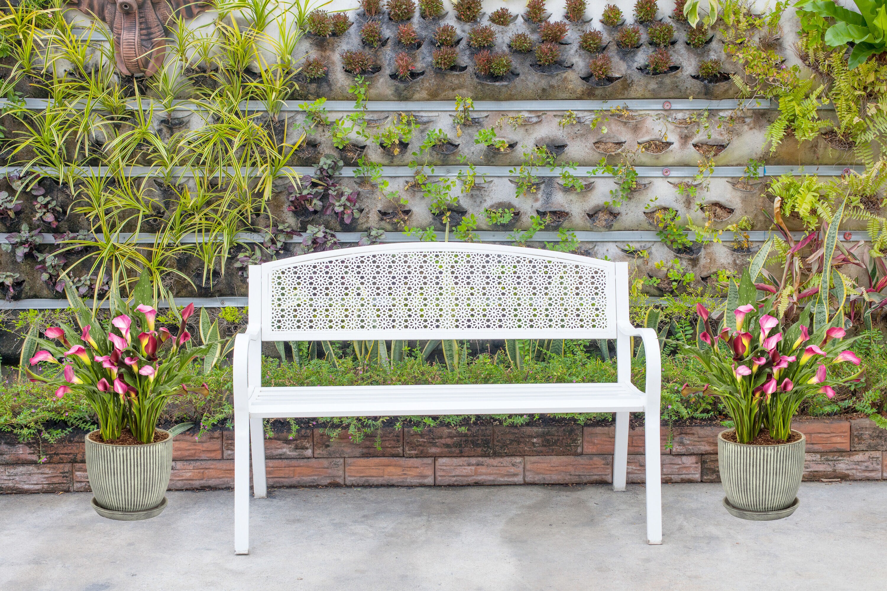  2634 perennials - View #5
