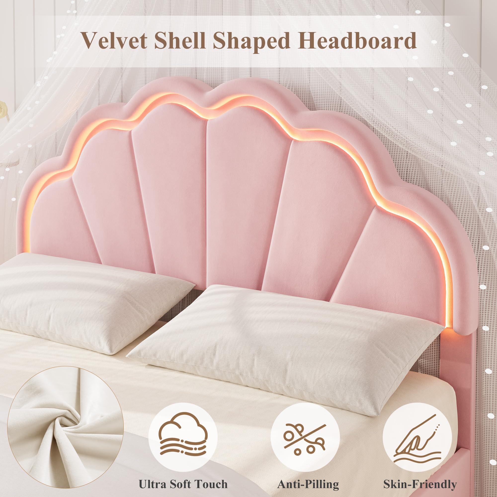 Assile XH26080313 beds - View #3