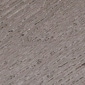 Black Walnut