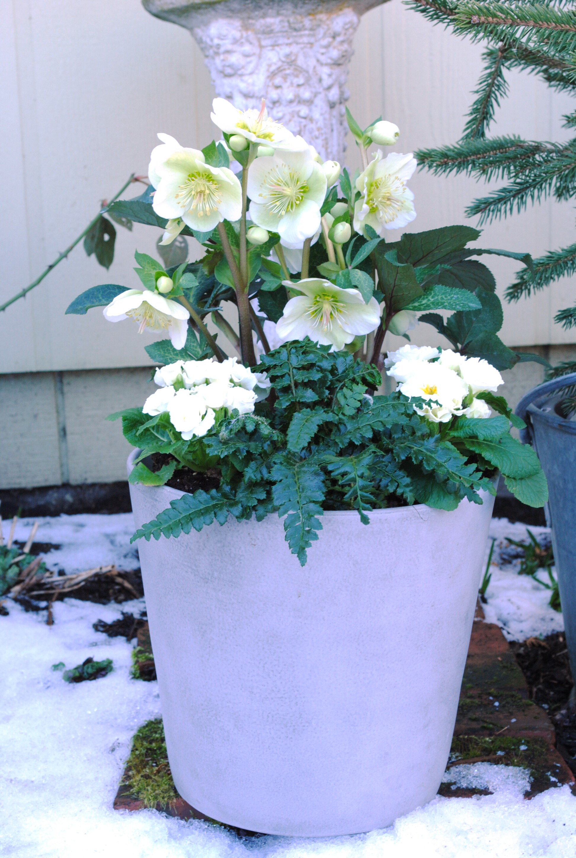  1020 perennials - View #3