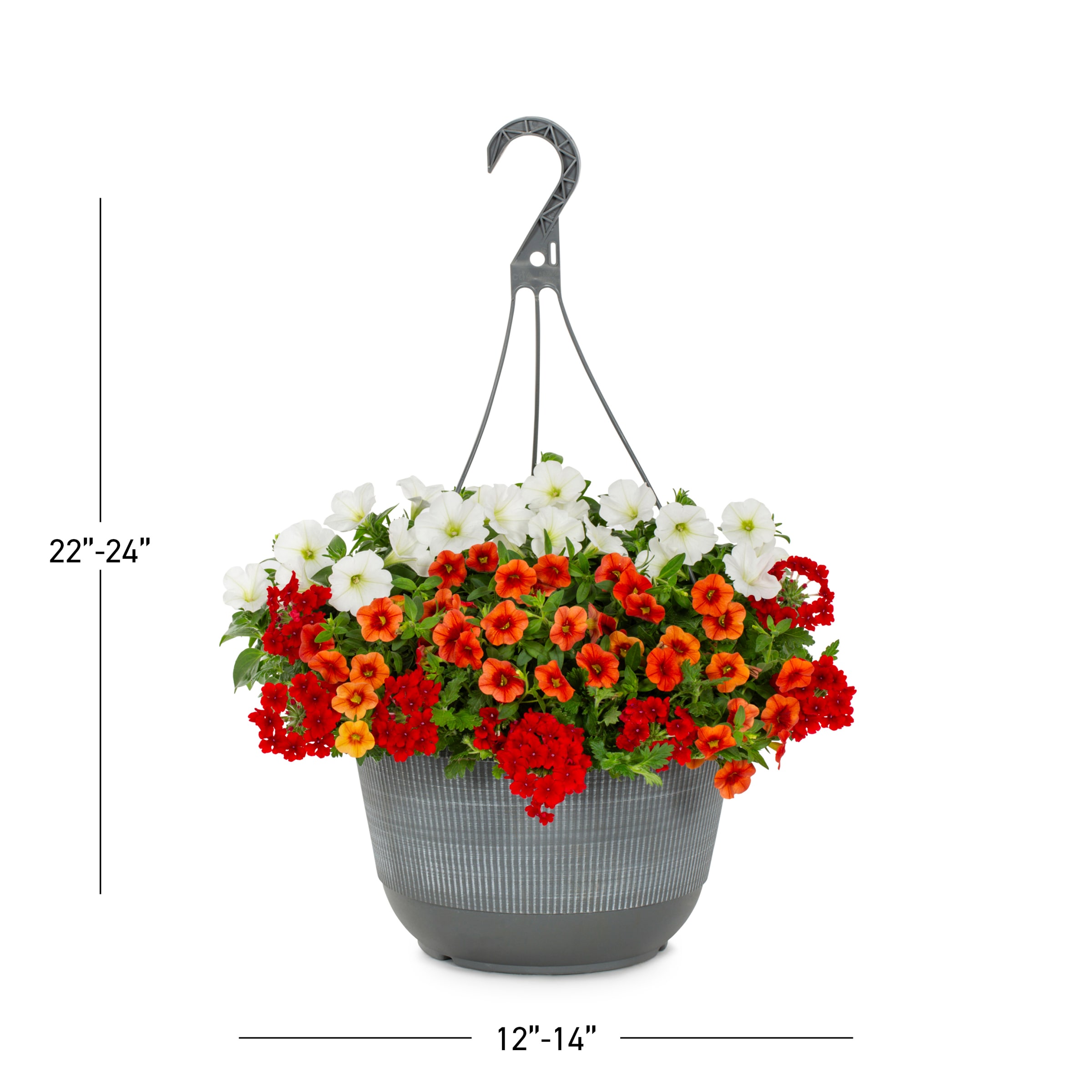 Lowe's NURSERY annuals - View #3