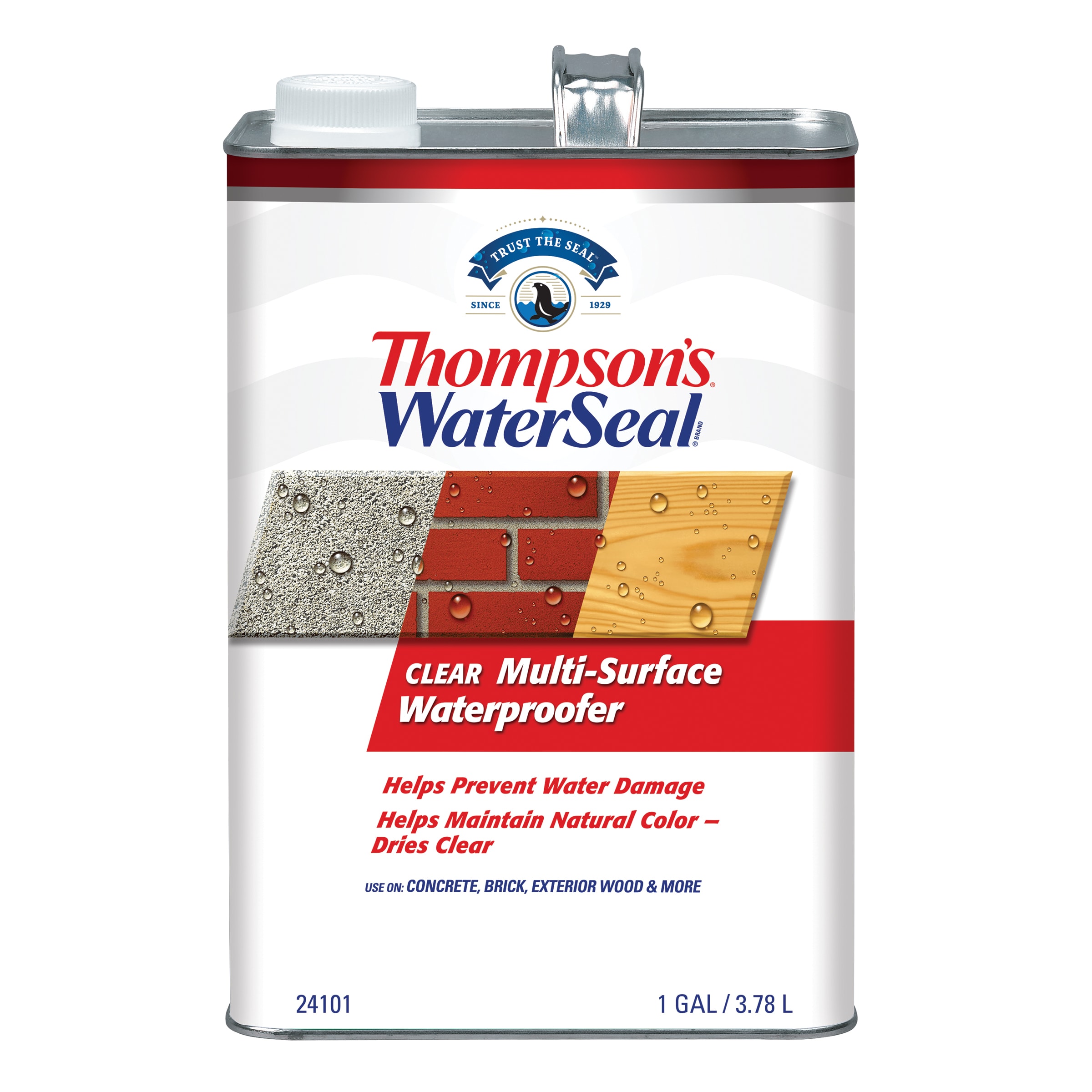 Thompson&rsquo;s WaterSeal Clear Flat Transparent Water-based Exterior 