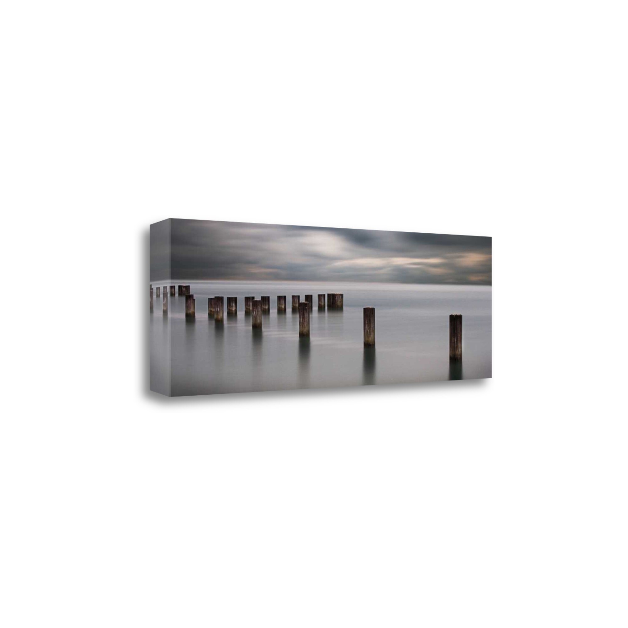 Tangletown Fine Art CACJP623-4816C In Dreams Ii Jamie Cook 16-in H x 47-in W Landscape Print on Canvas