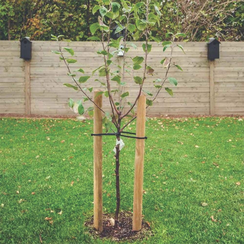 Greenes Wood Tree Stake for Tree and Plant Support - 96 Inches Length,  Treated for Ground Contact, Sturdy Construction - 1 Pack in the Tree Stakes  & Ties department at