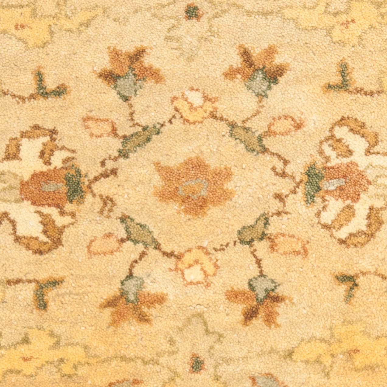 Safavieh BRG135B-2 rugs - View #4
