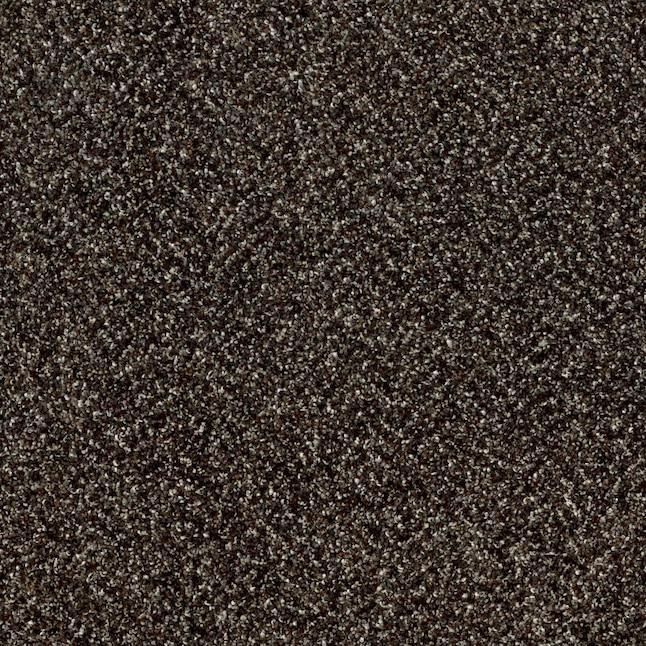 Shaw Wide Width Statuette I 12-ft- River Rock River Rock Textured Carpet Sample (Interior) Shaw Wide Width Statuette I 12-ft- River Rock River Rock Textured Carpet Sample (Interior)