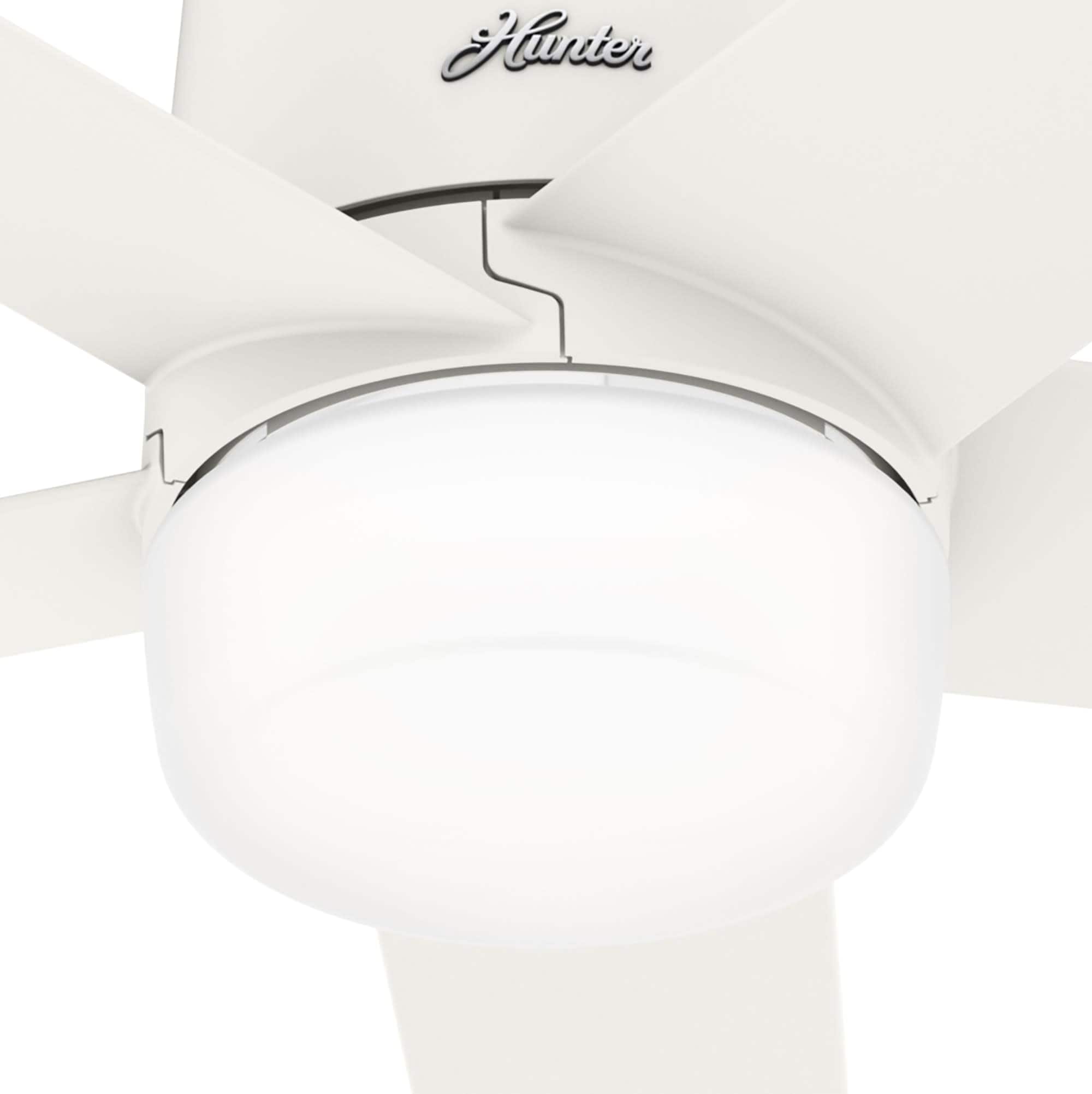 Hunter 51197 Ceiling-Fans - View #13