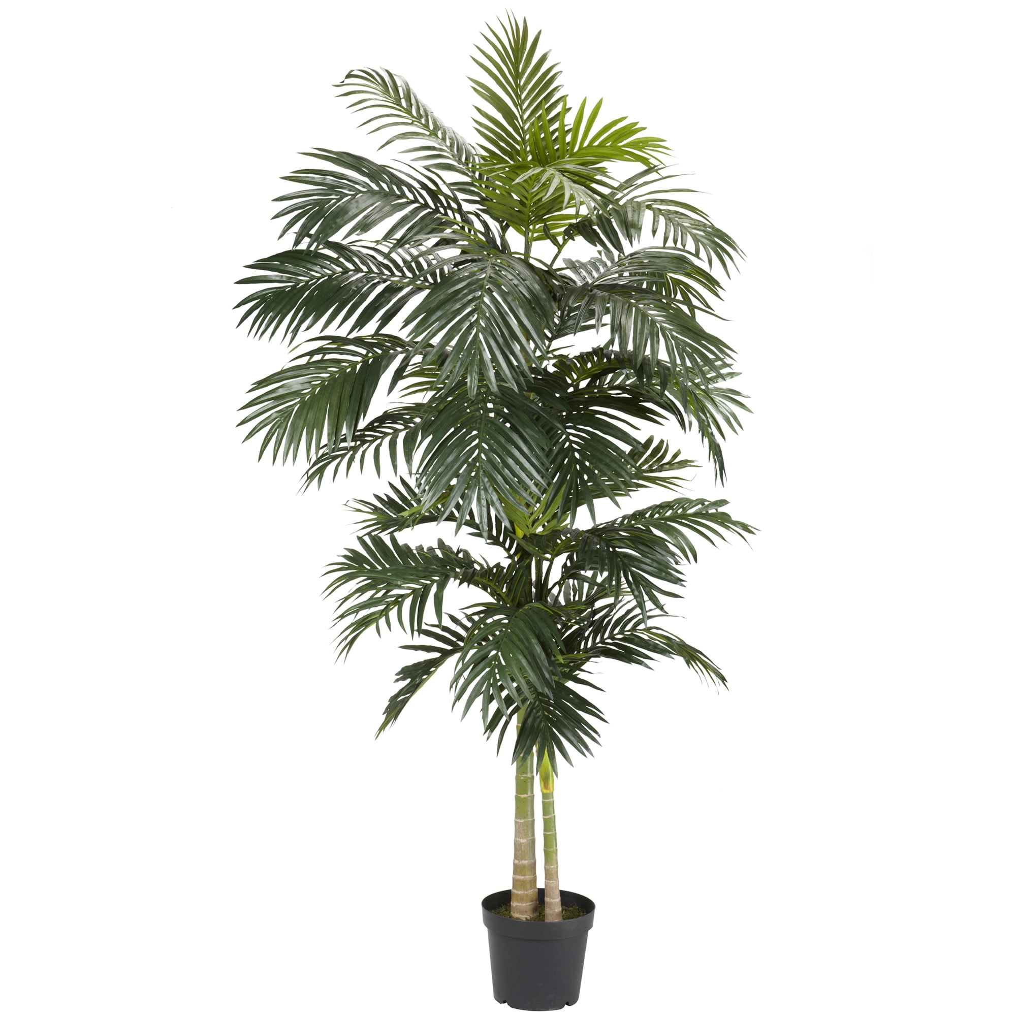  8-ft Golden Cane Palm Artificial Tree