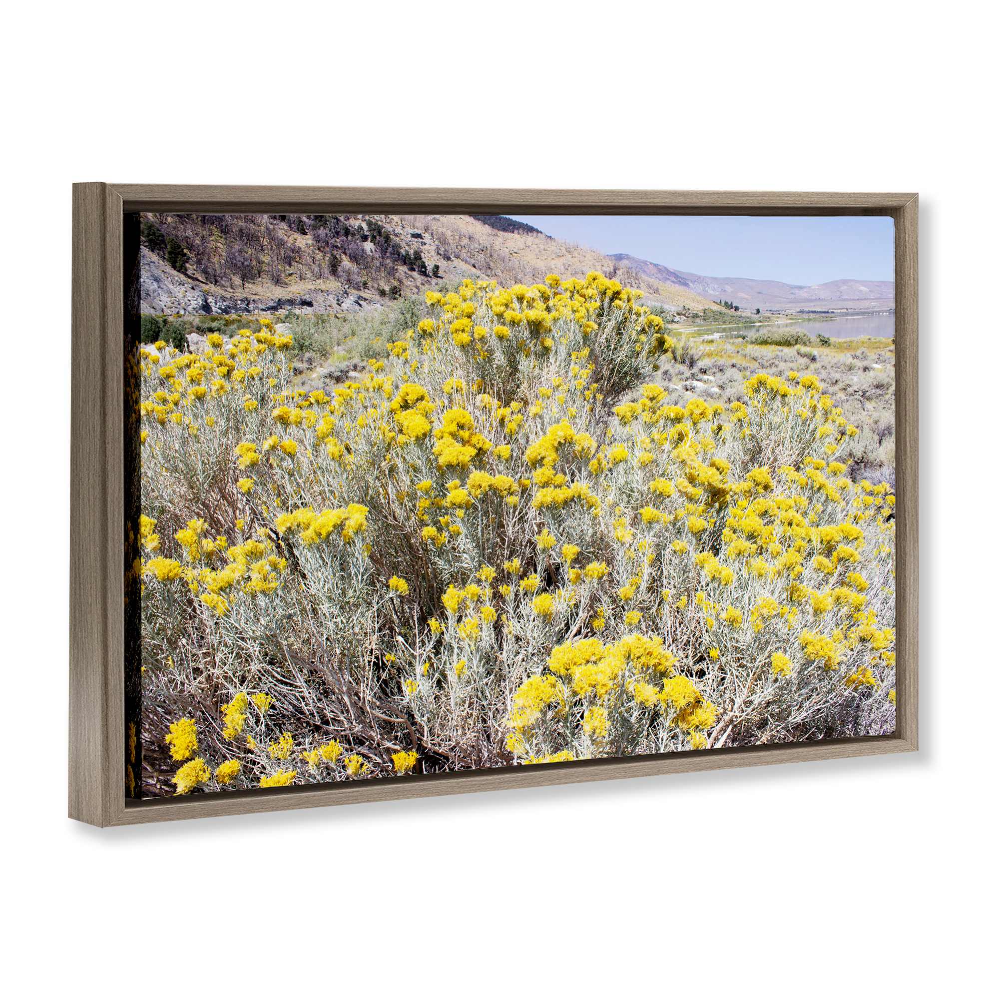 Stupell Industries BU-139-FFE-16X24 Wall-Art - View #2