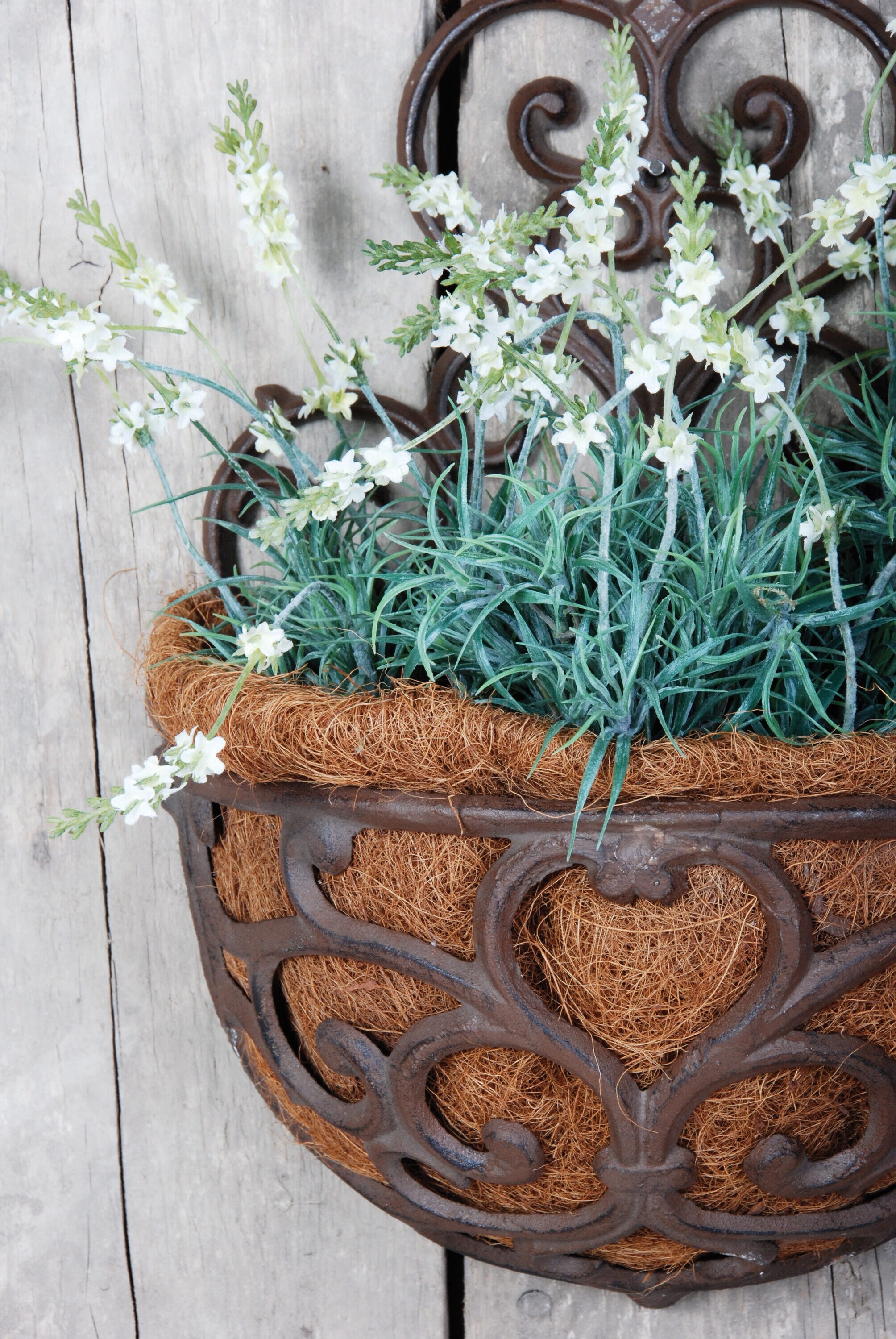 Esschert Design BPH51 Planter-Window-Box - View #8
