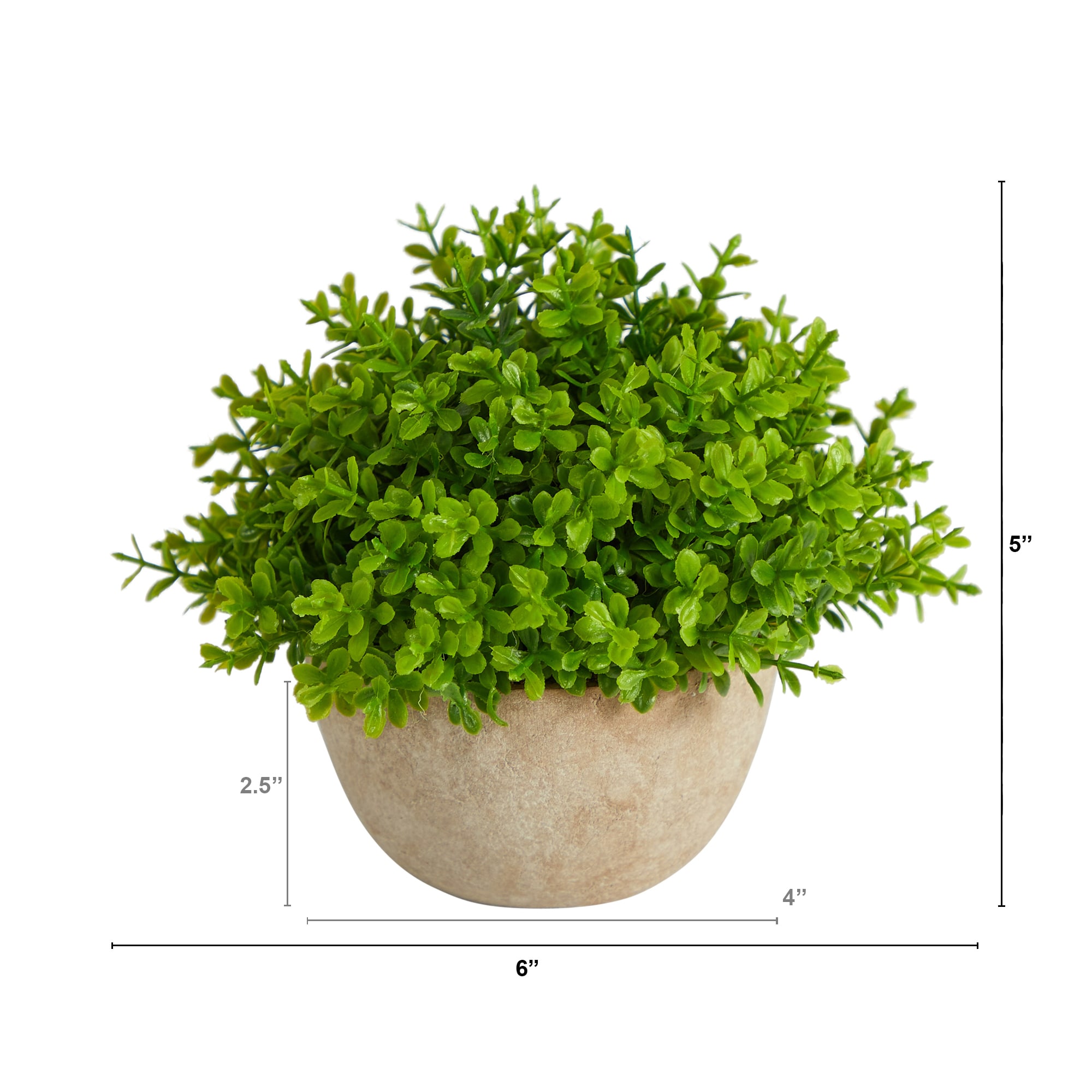 naturae decor 13-in Green Indoor/Outdoor Hanging Artificial Boxwood  Artificial Plant at