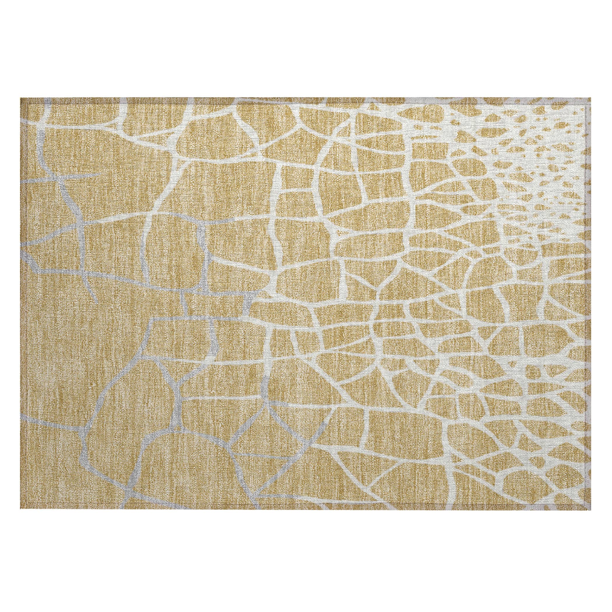Addison Rugs ACN1049GO20X30 rugs - View #2