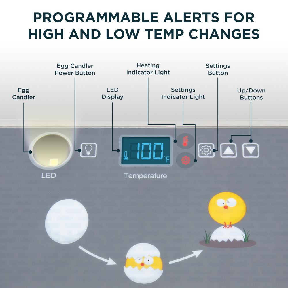  COOLTOP Rechargeable Egg Candler for Monitoring Eggs