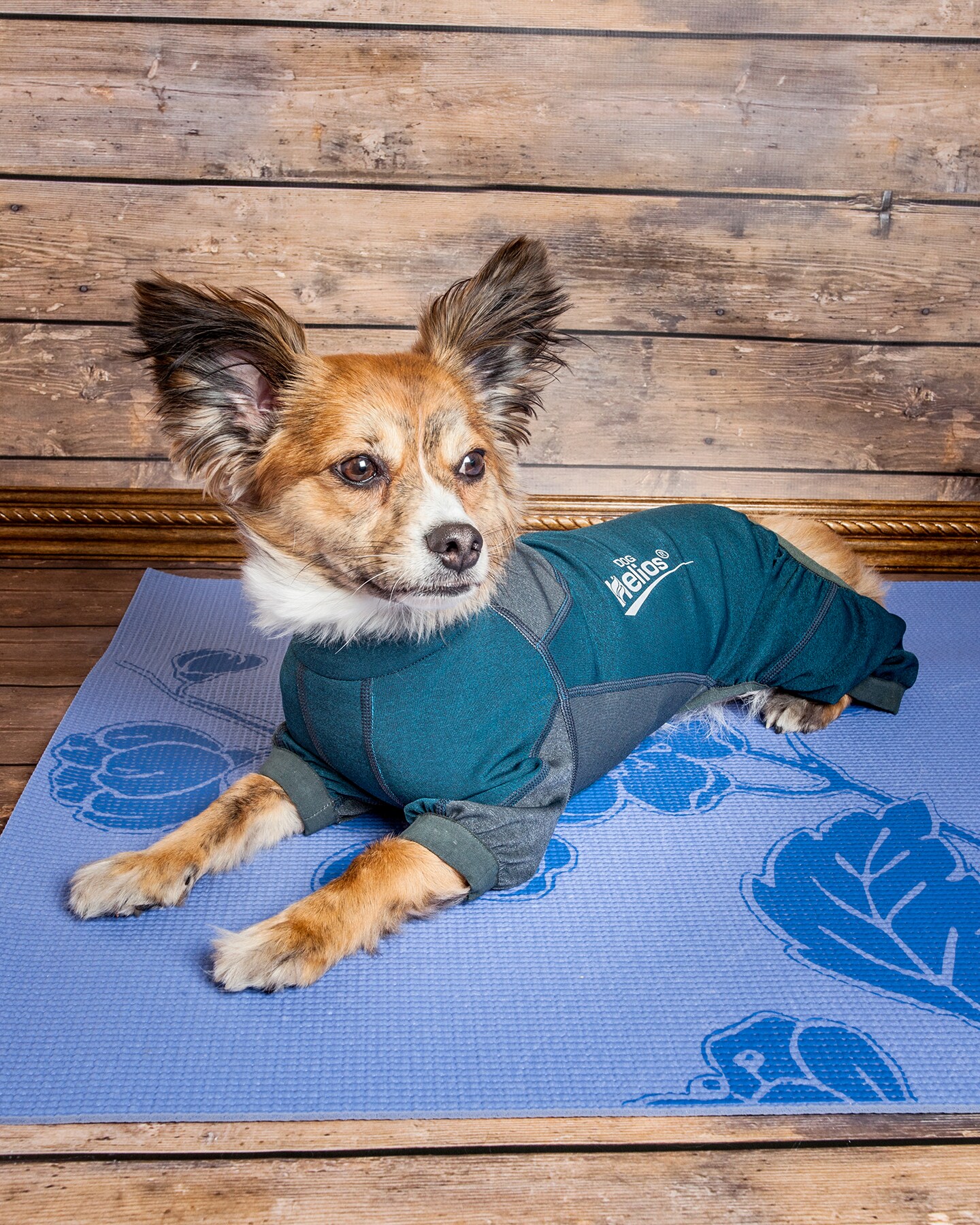 Dog Helios YGHL8BLXS Dog-Apparel - View #10