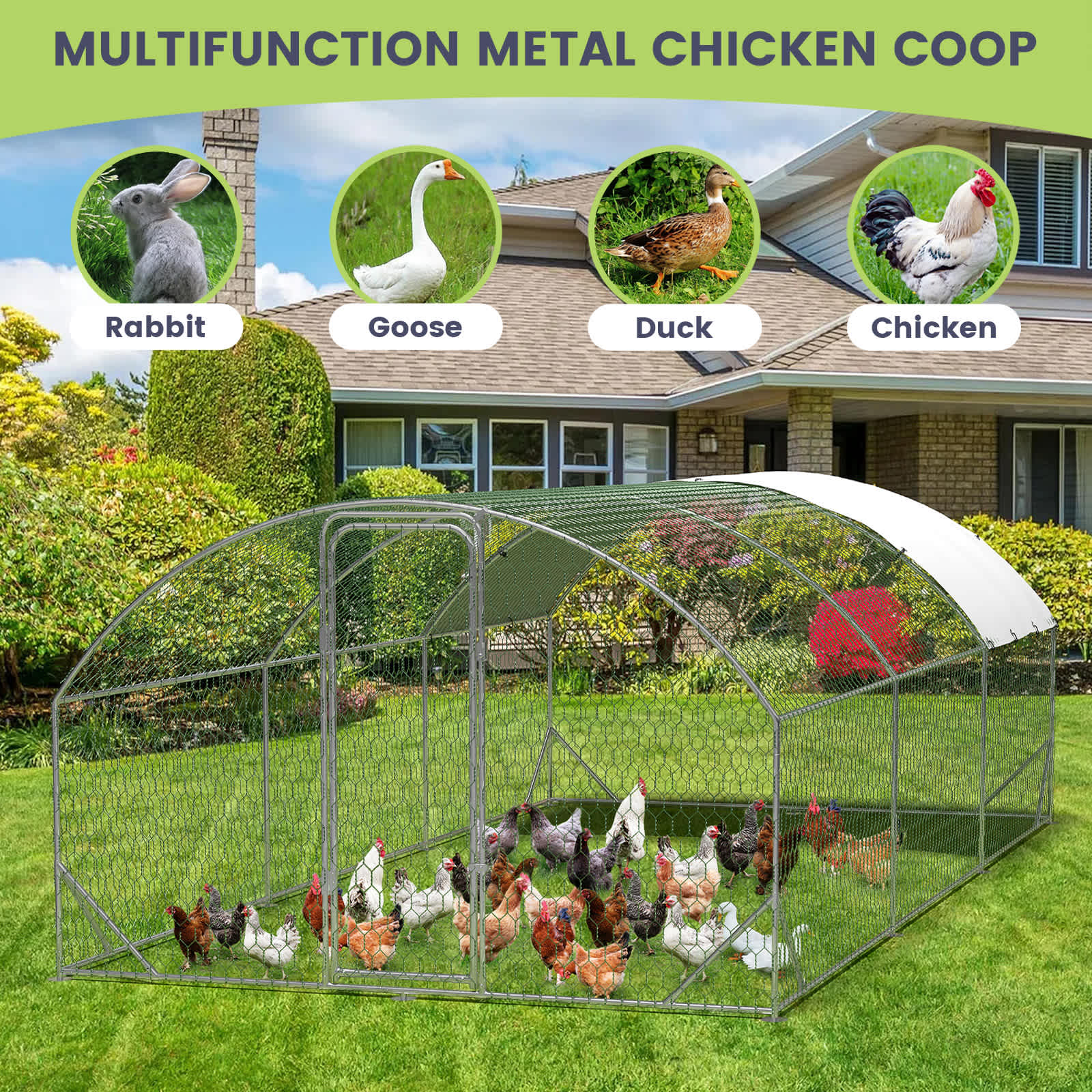 Qeetex GGL-PHO-159PL8QL Chicken-Coops-Rabbit-Hutches - View #4