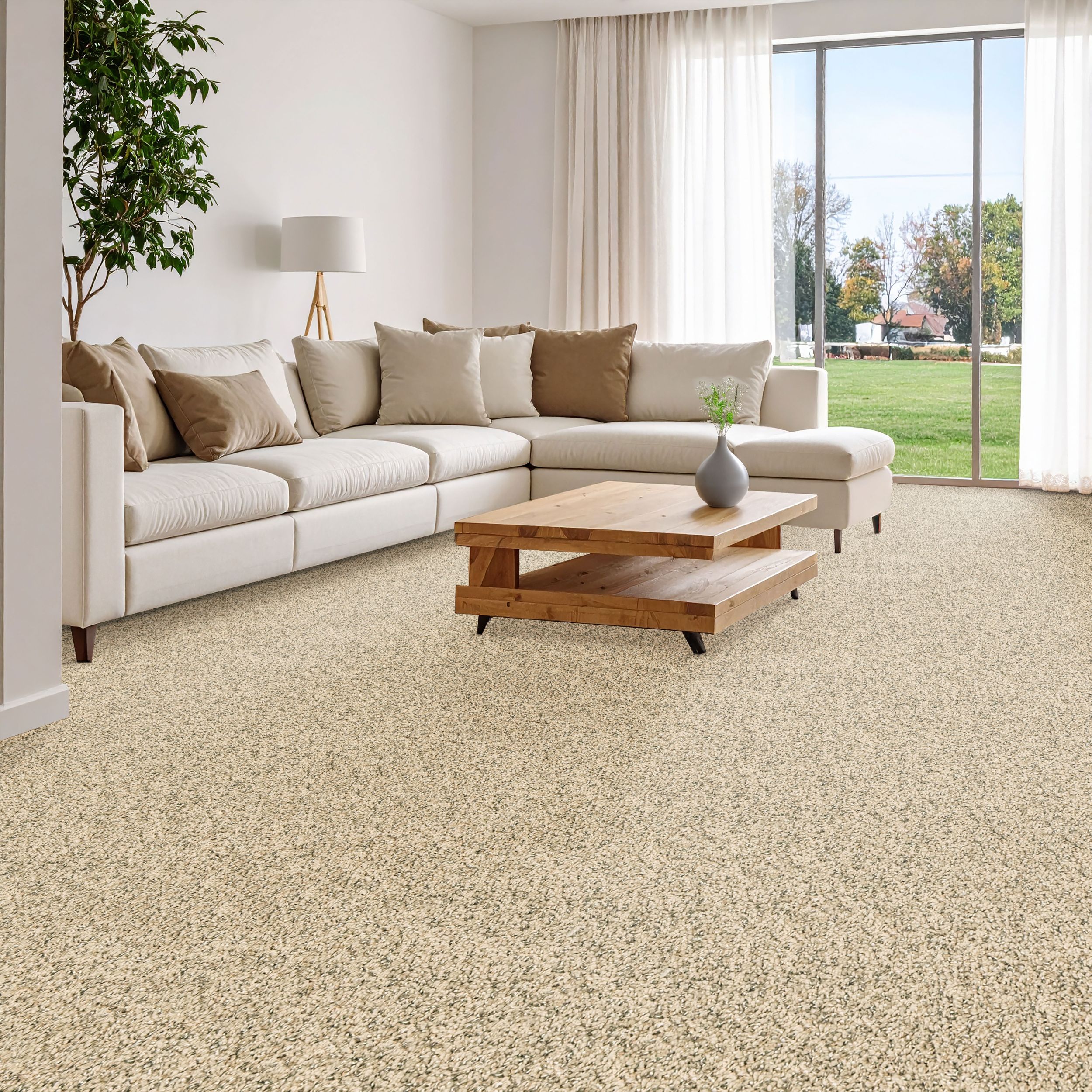 STAINMASTER PetProtect SS057-L008-S0808 Carpet-Samples - View #7