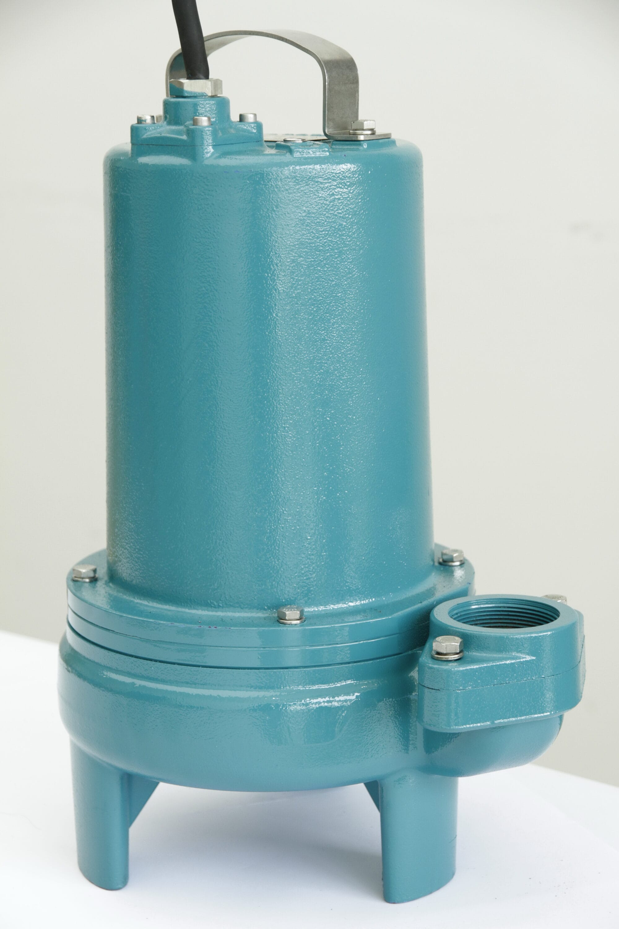 LEO LSE514M 1/2-HP 115 -Volt 155-Gallon Cast iron Sewage sump pump