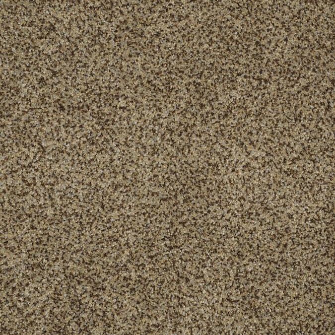 STAINMASTER TruSoft Private Oasis II Bahia Carpet Sample at