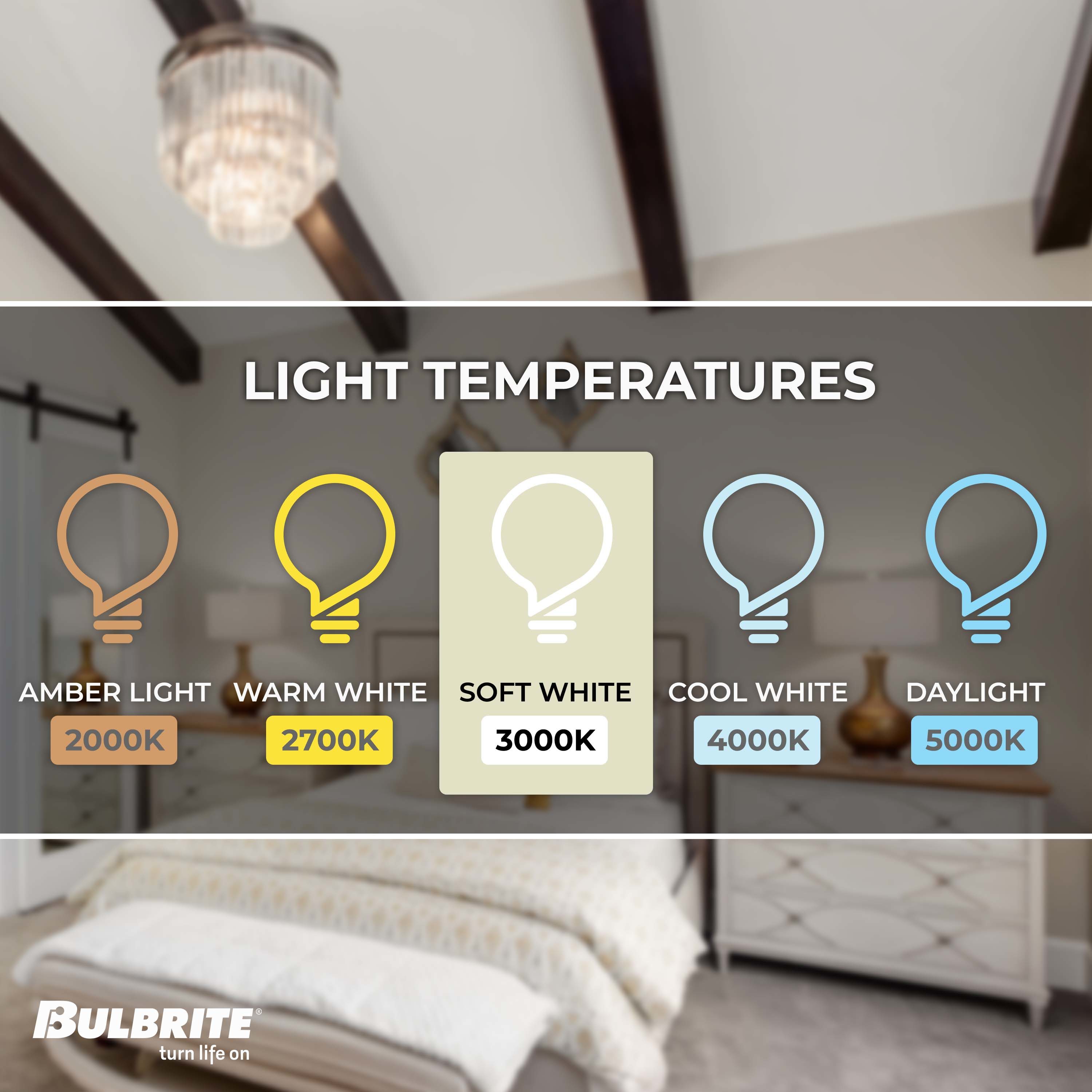 Bulbrite 861585 Dec-Led-Light-Bulbs - View #3