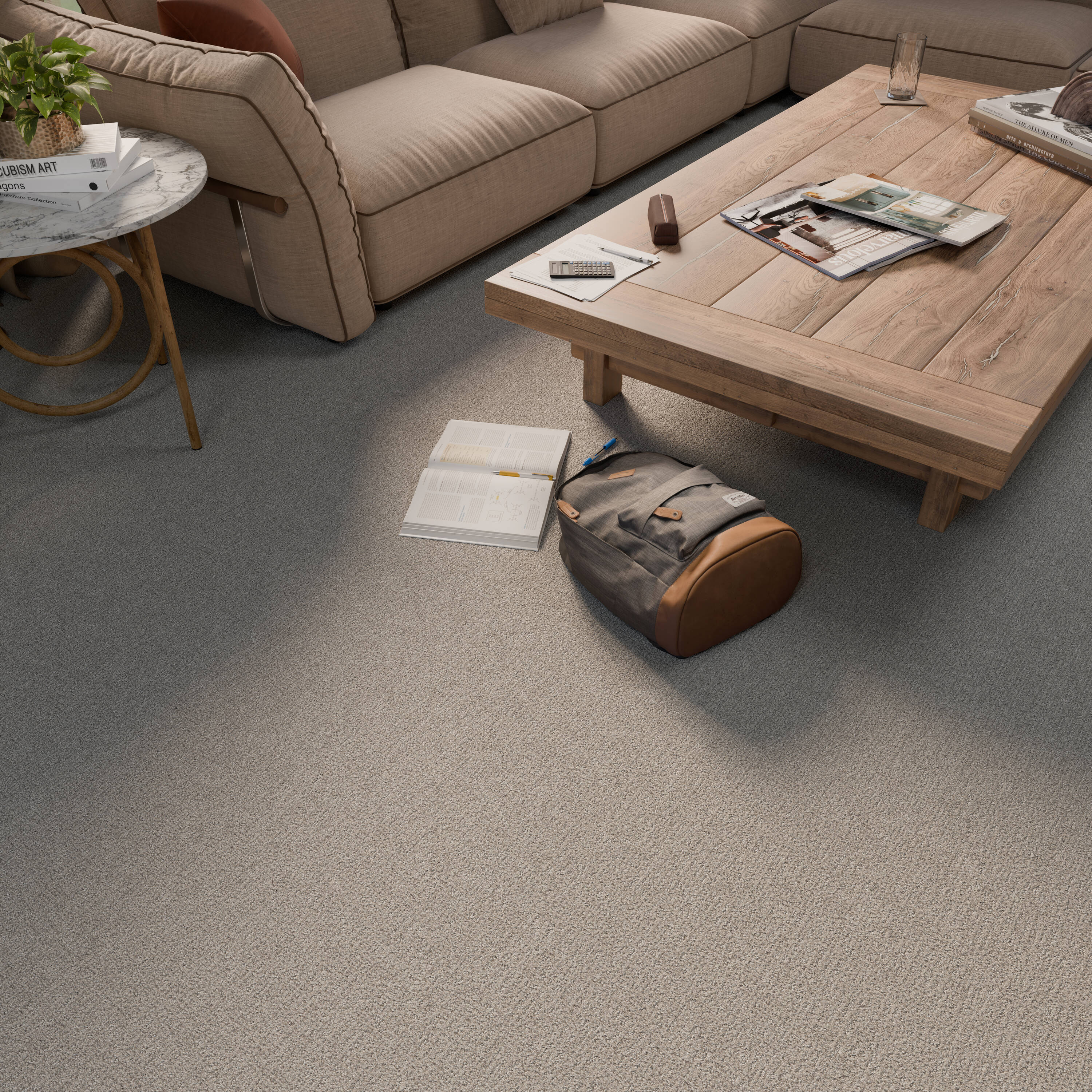 STAINMASTER PetProtect 7L946-115-SAMP Carpet-Samples - View #5