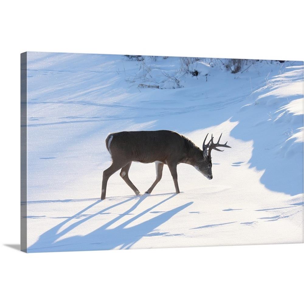 GreatBigCanvas Winter Shadows by Brian Wolits 16-in H x 24-in W ...