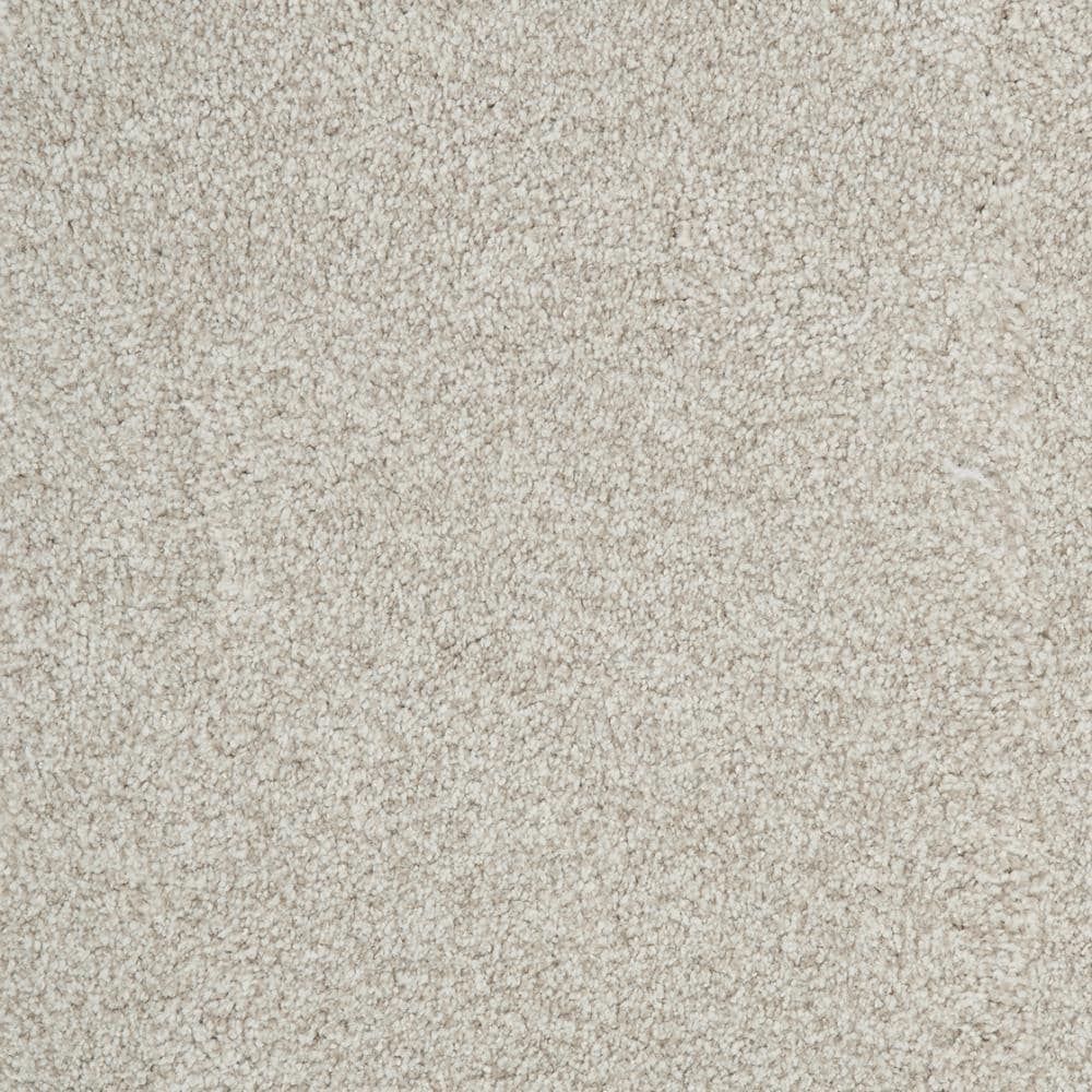 STAINMASTER DL047-406S (Sample) Signature Pinson Adament Textured Carpet